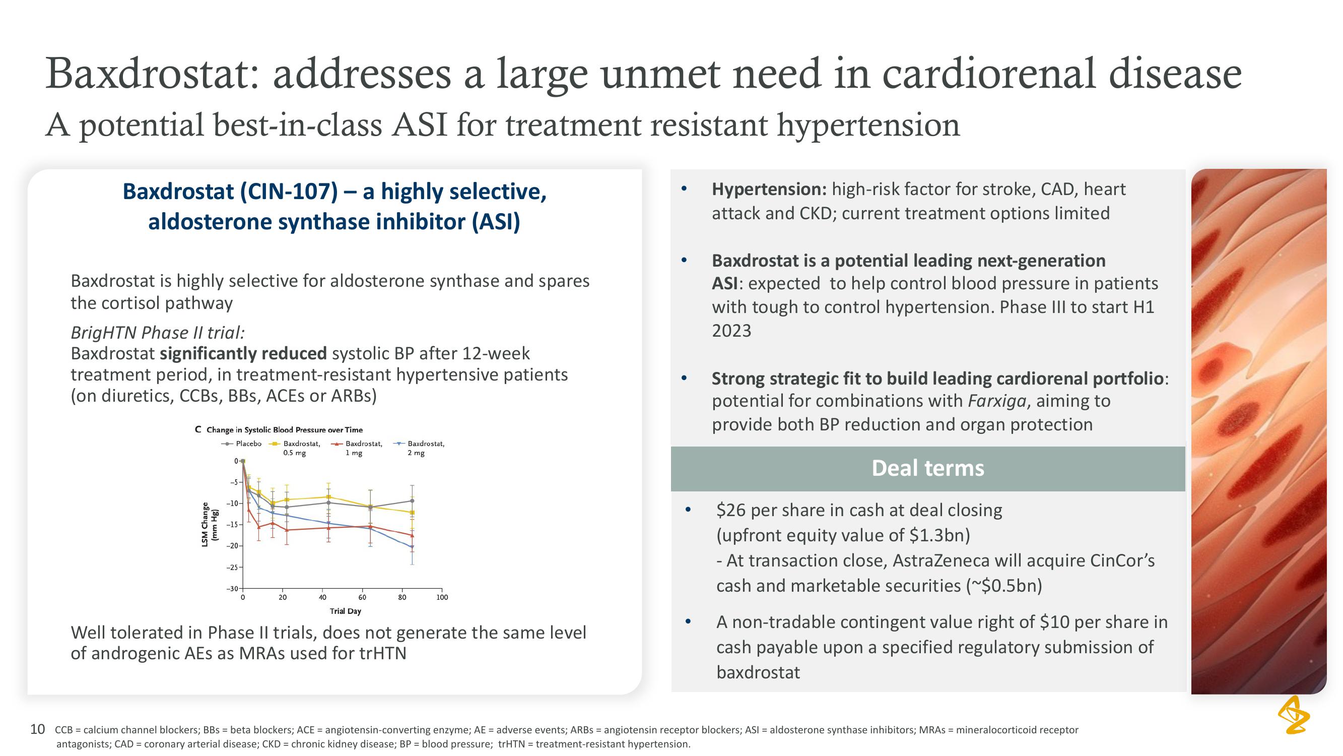 AstraZeneca Investor Conference Presentation Deck slide image #10