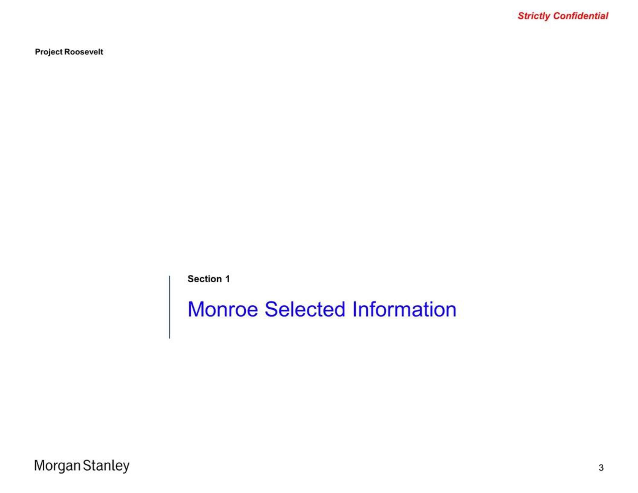 Morgan Stanley Investment Banking Pitch Book slide image #3