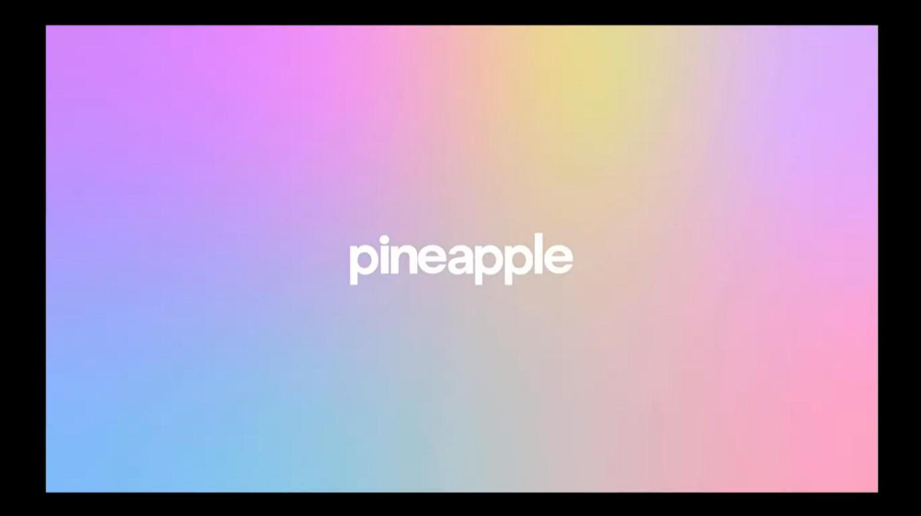 Pineapple Start Up Pitch Deck image