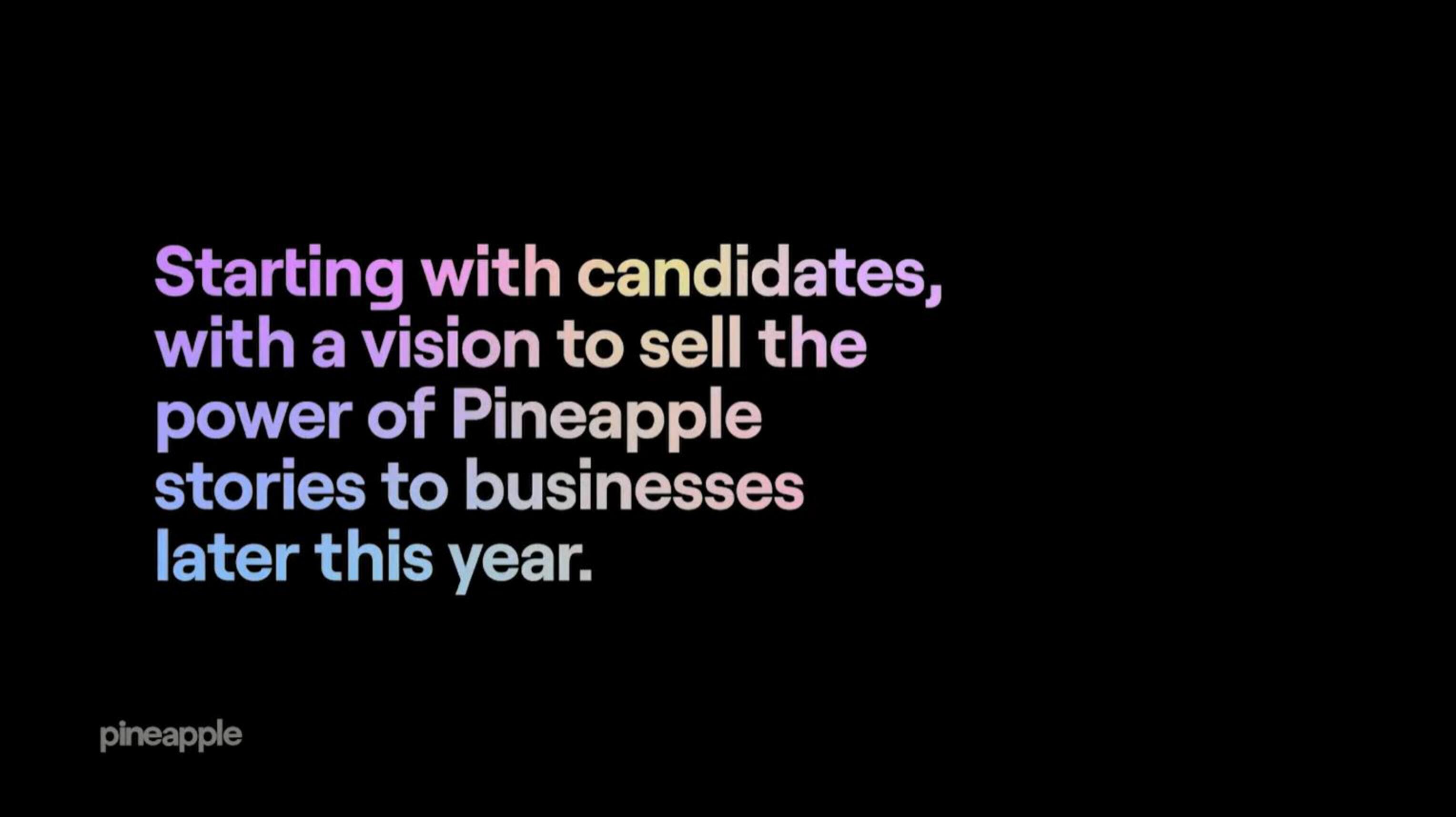 Pineapple Start Up Pitch Deck slide image #27