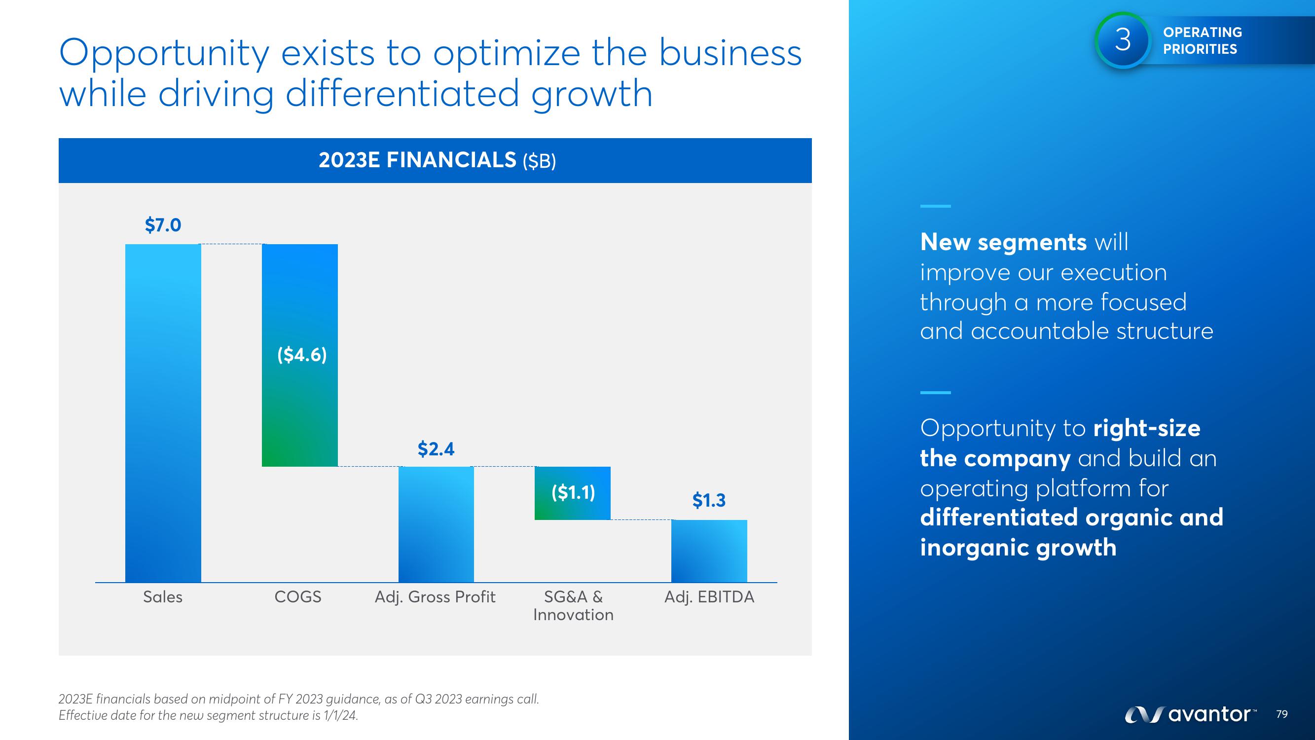 Avantor Investor Day Presentation Deck slide image #79