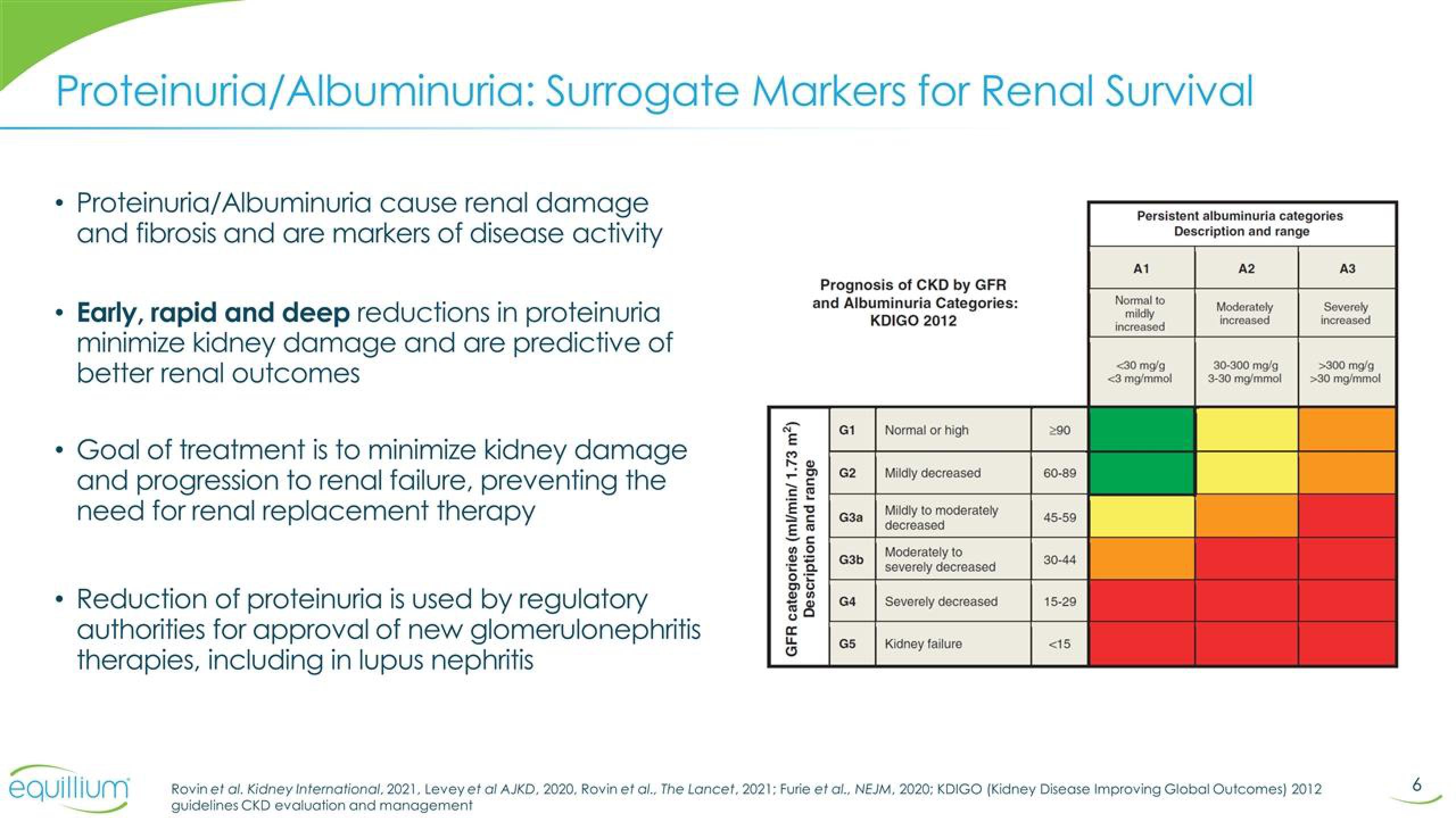 Equillium Results Presentation Deck slide image #6