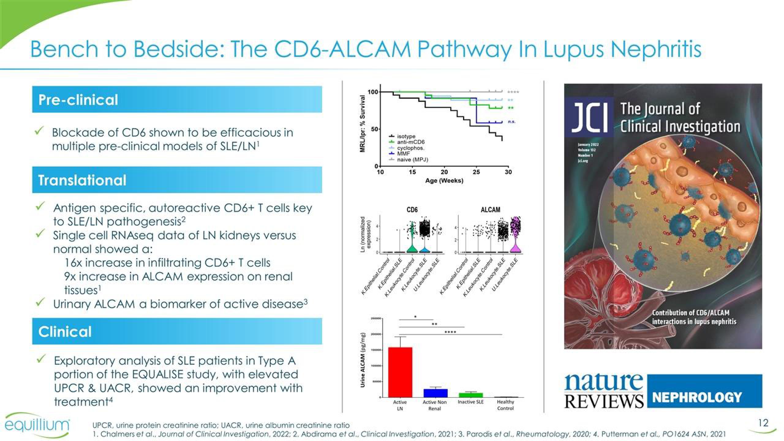 Equillium Results Presentation Deck slide image #12