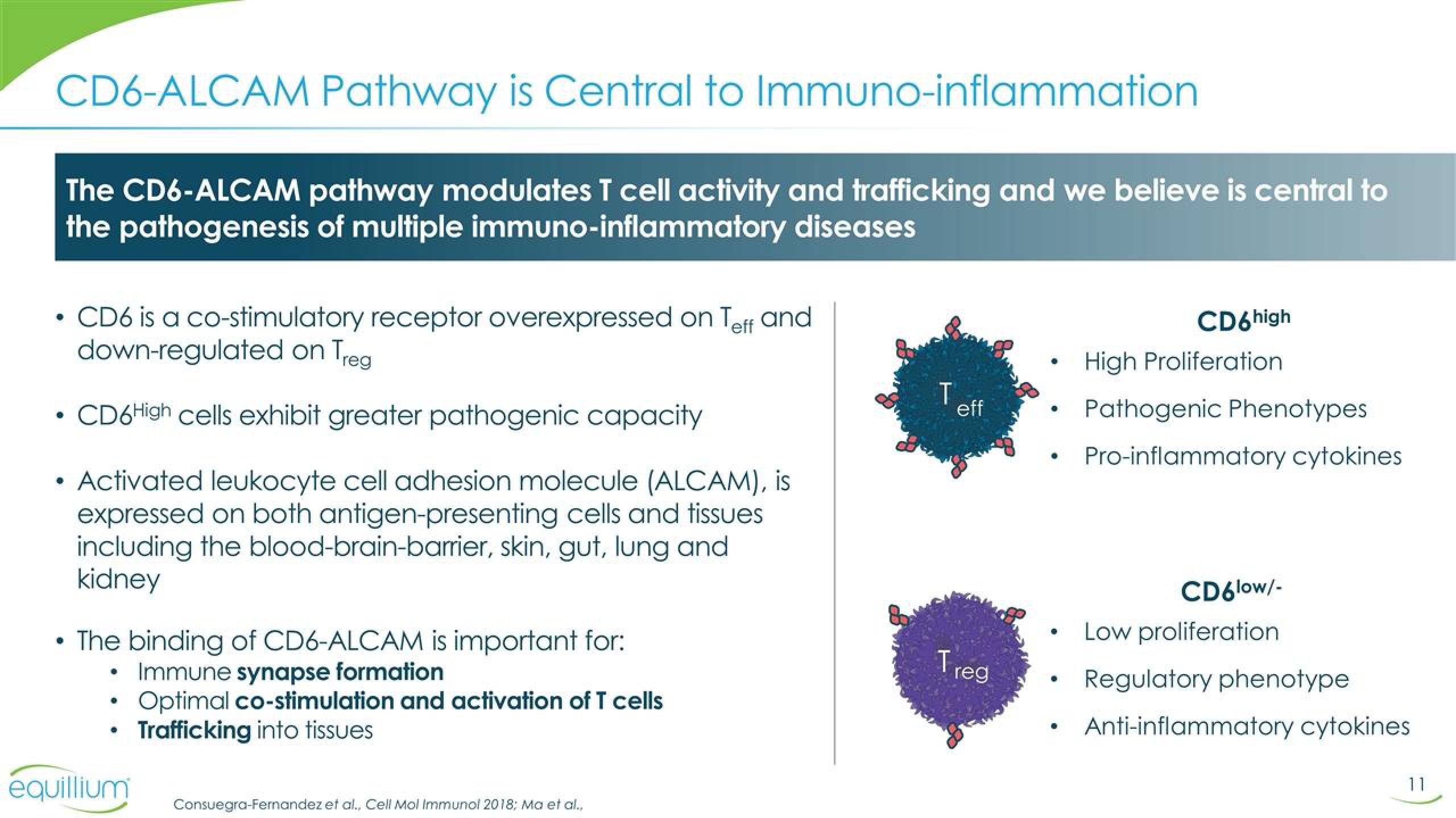 Equillium Results Presentation Deck slide image #11