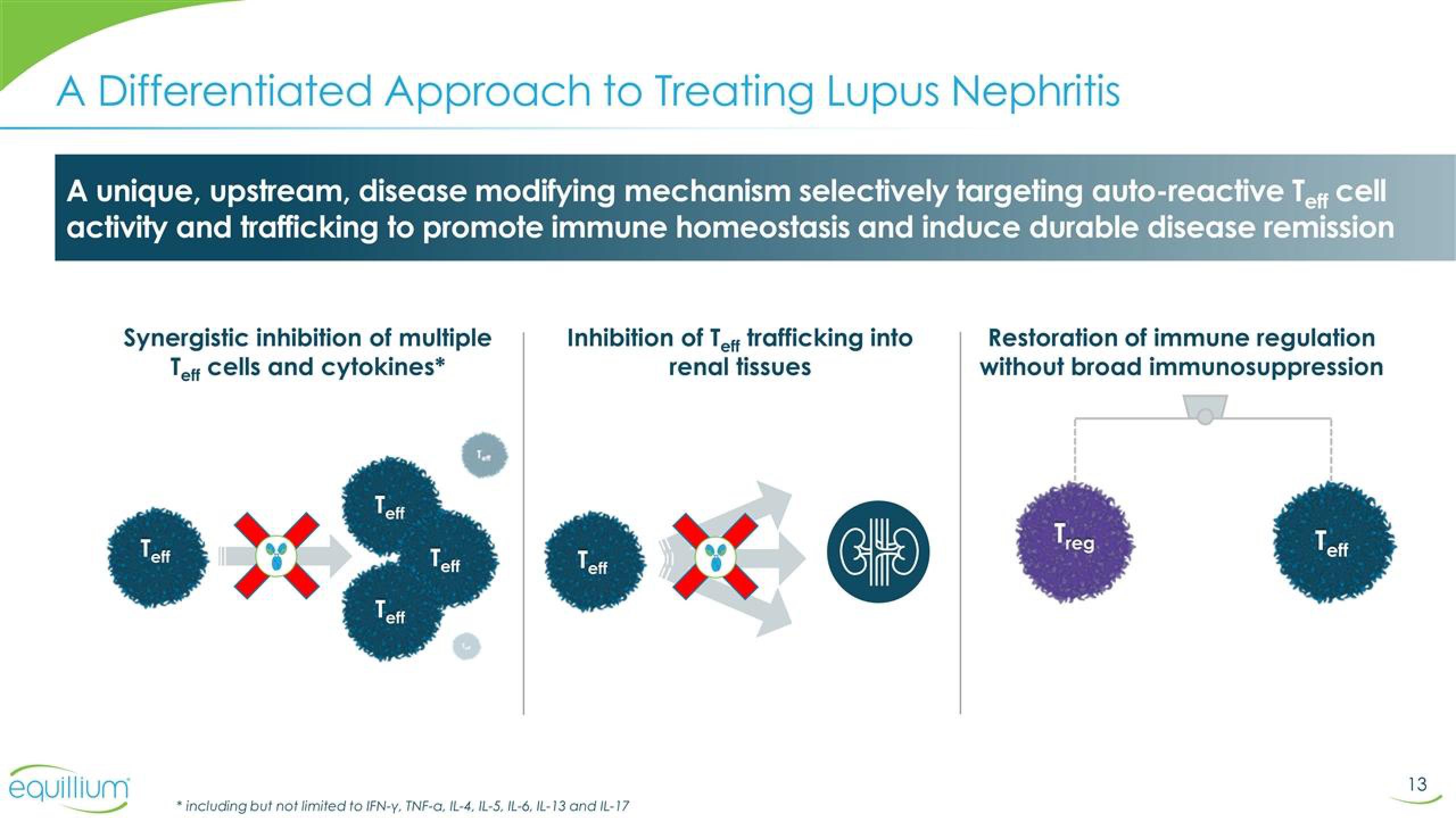 Equillium Results Presentation Deck slide image #13