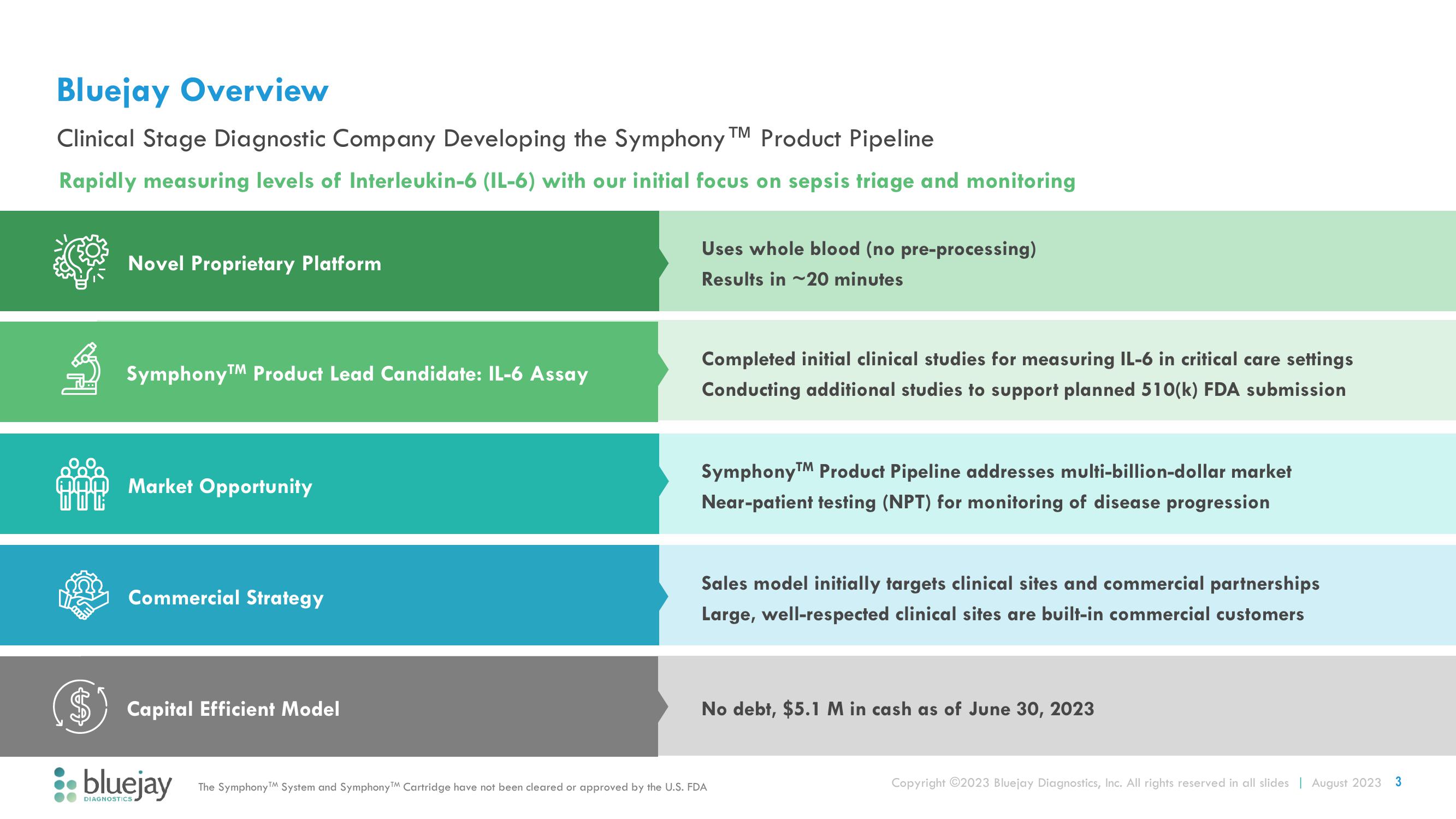 Bluejay Investor Presentation Deck slide image #3