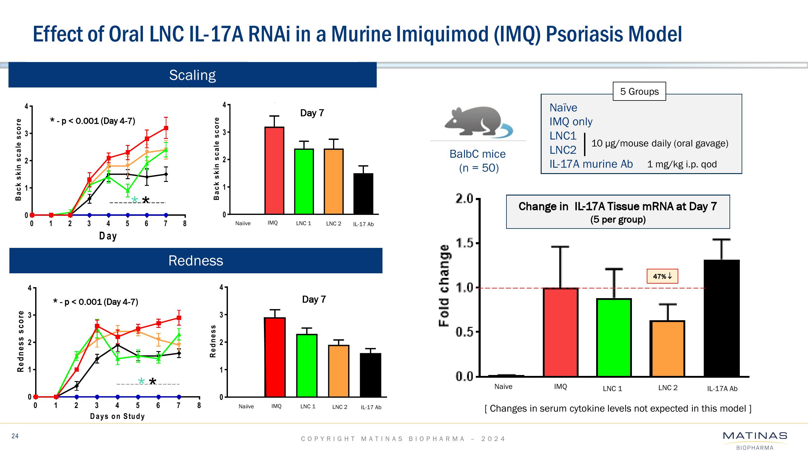 Matinas BioPharma Investor Presentation Deck slide image #24