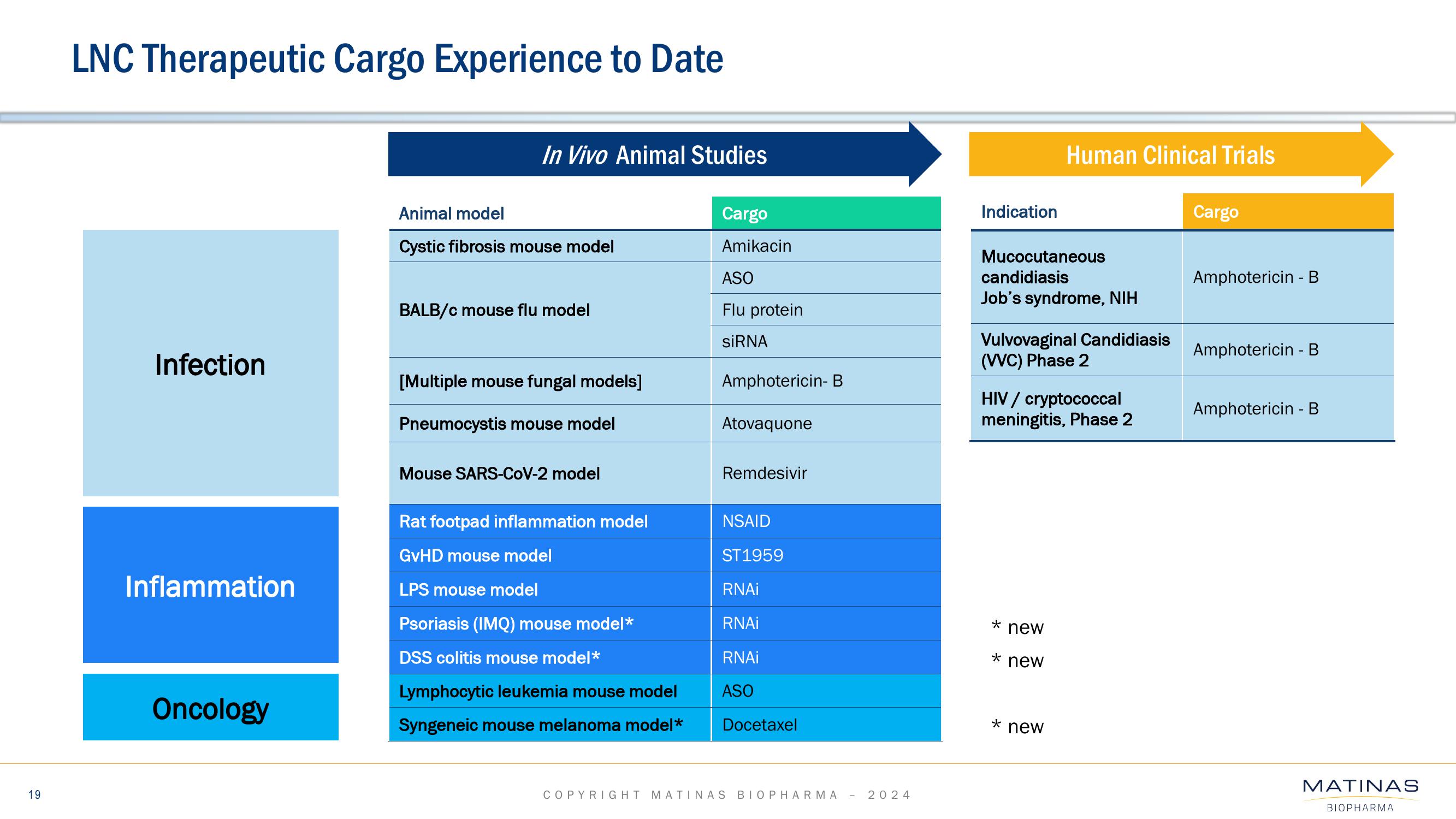 Matinas BioPharma Investor Presentation Deck slide image #19