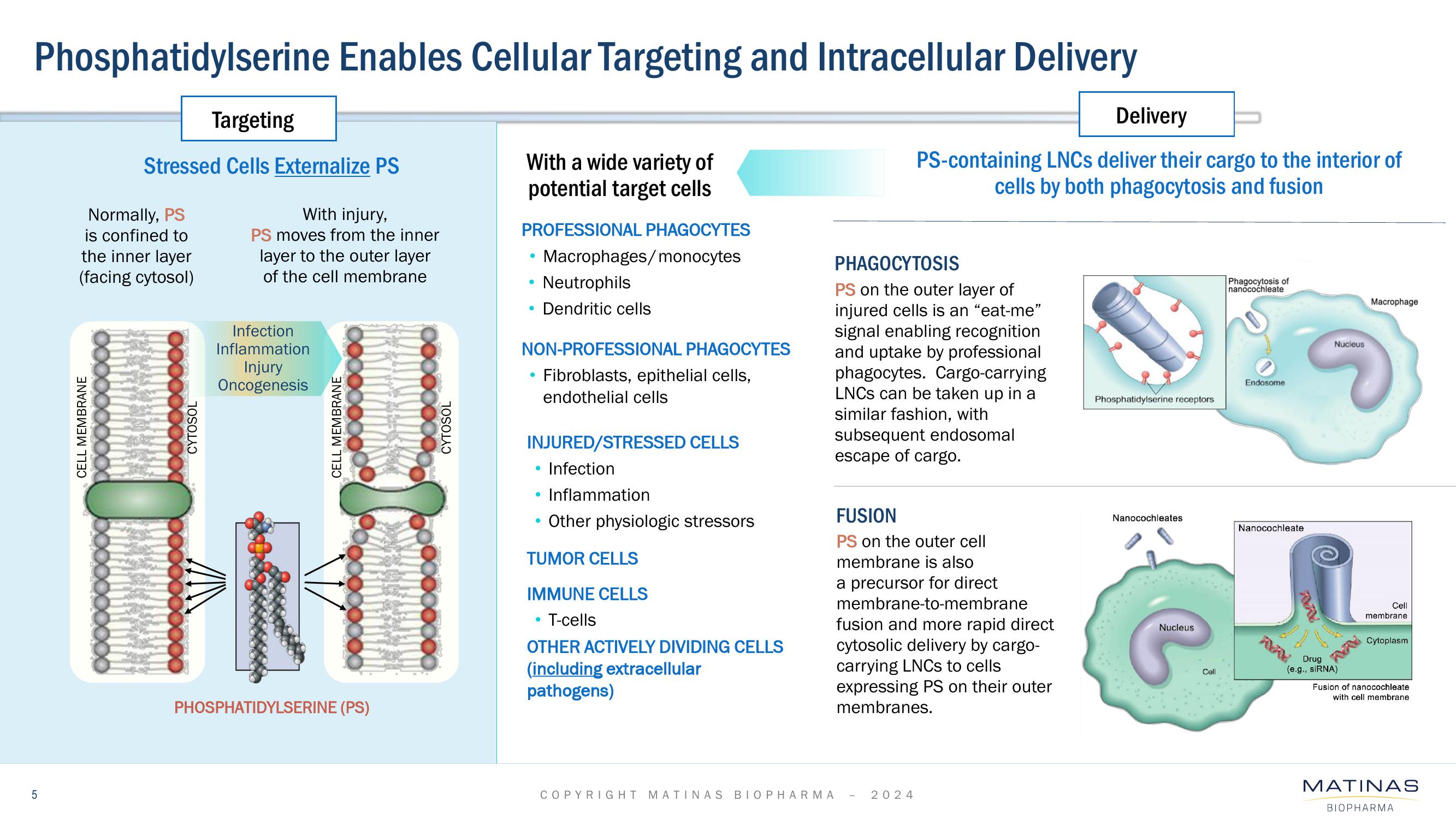 Matinas BioPharma Investor Presentation Deck slide image #5