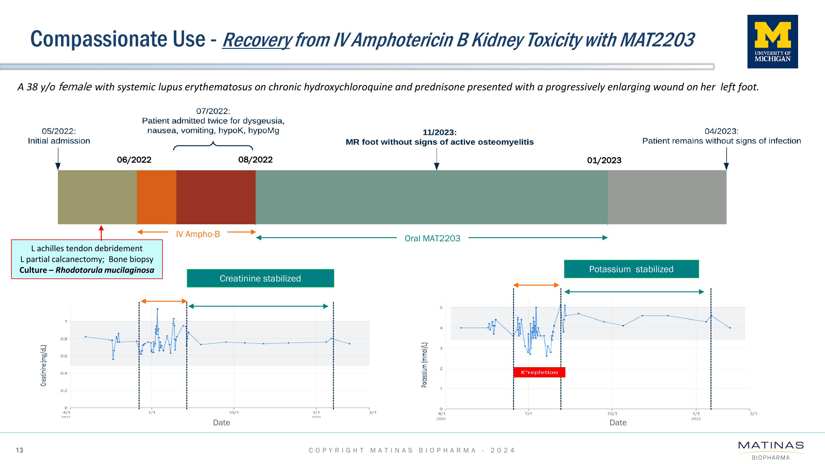 Matinas BioPharma Investor Presentation Deck slide image #13