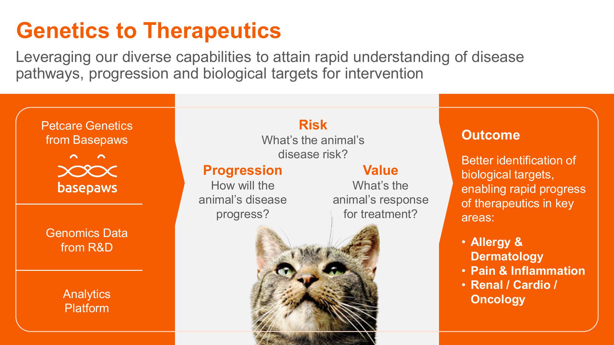 Shaping Animal Health for the Next Decade Zoetis Investor Day slide image #66