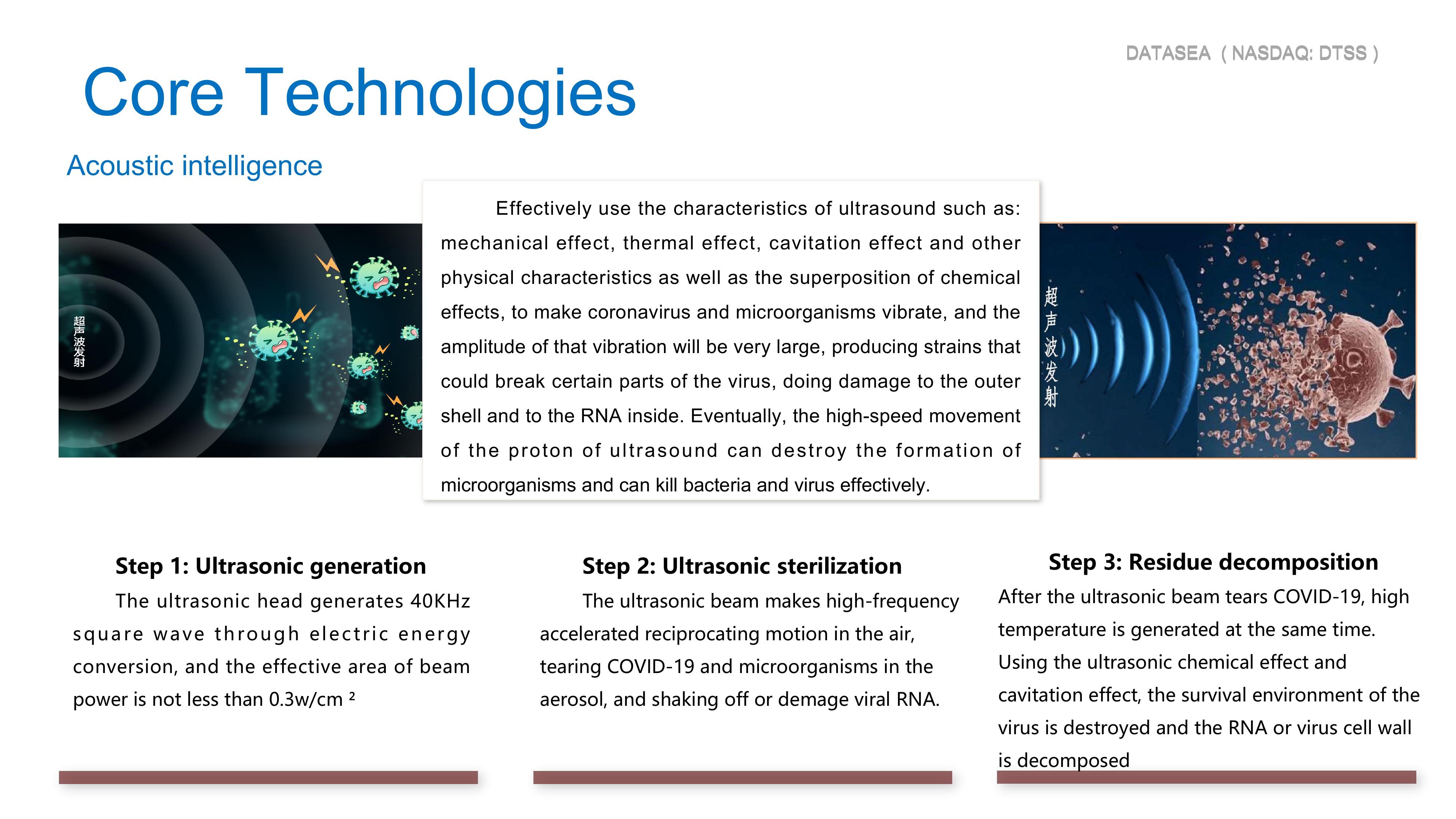 Datasea Investor Presentation slide image #11