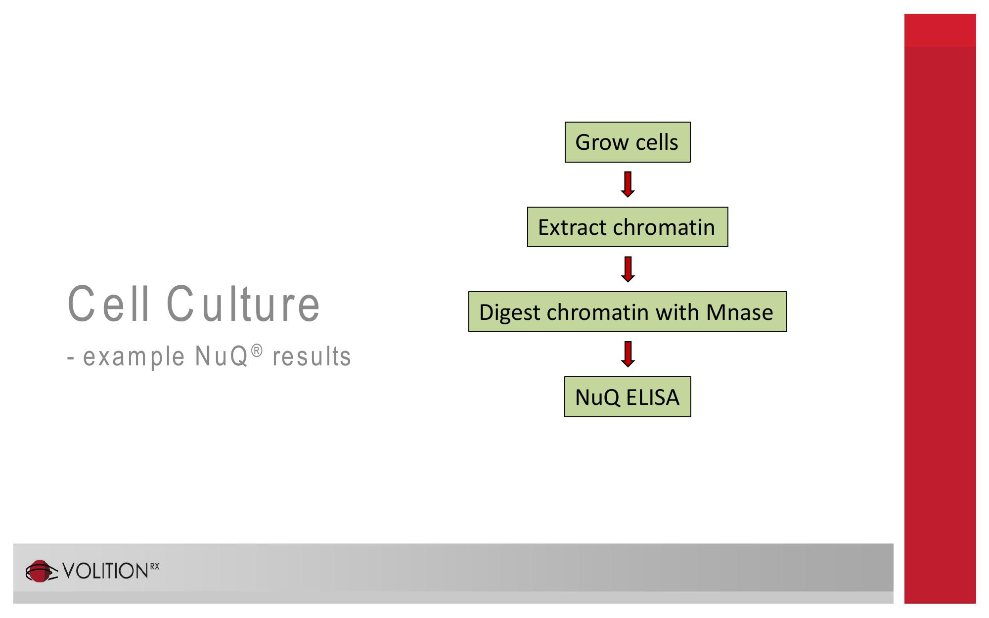 9th International Conference of Anticancer Research slide image #7