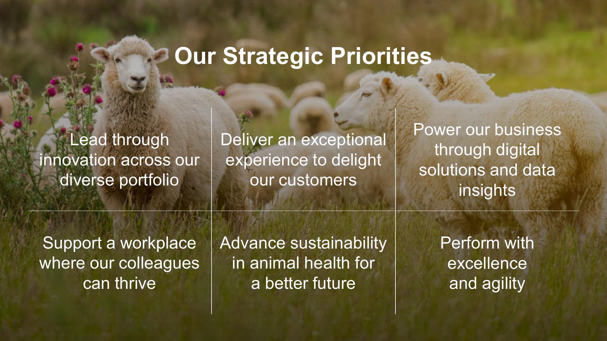 Shaping Animal Health for the Next Decade Zoetis Investor Day slide image #11