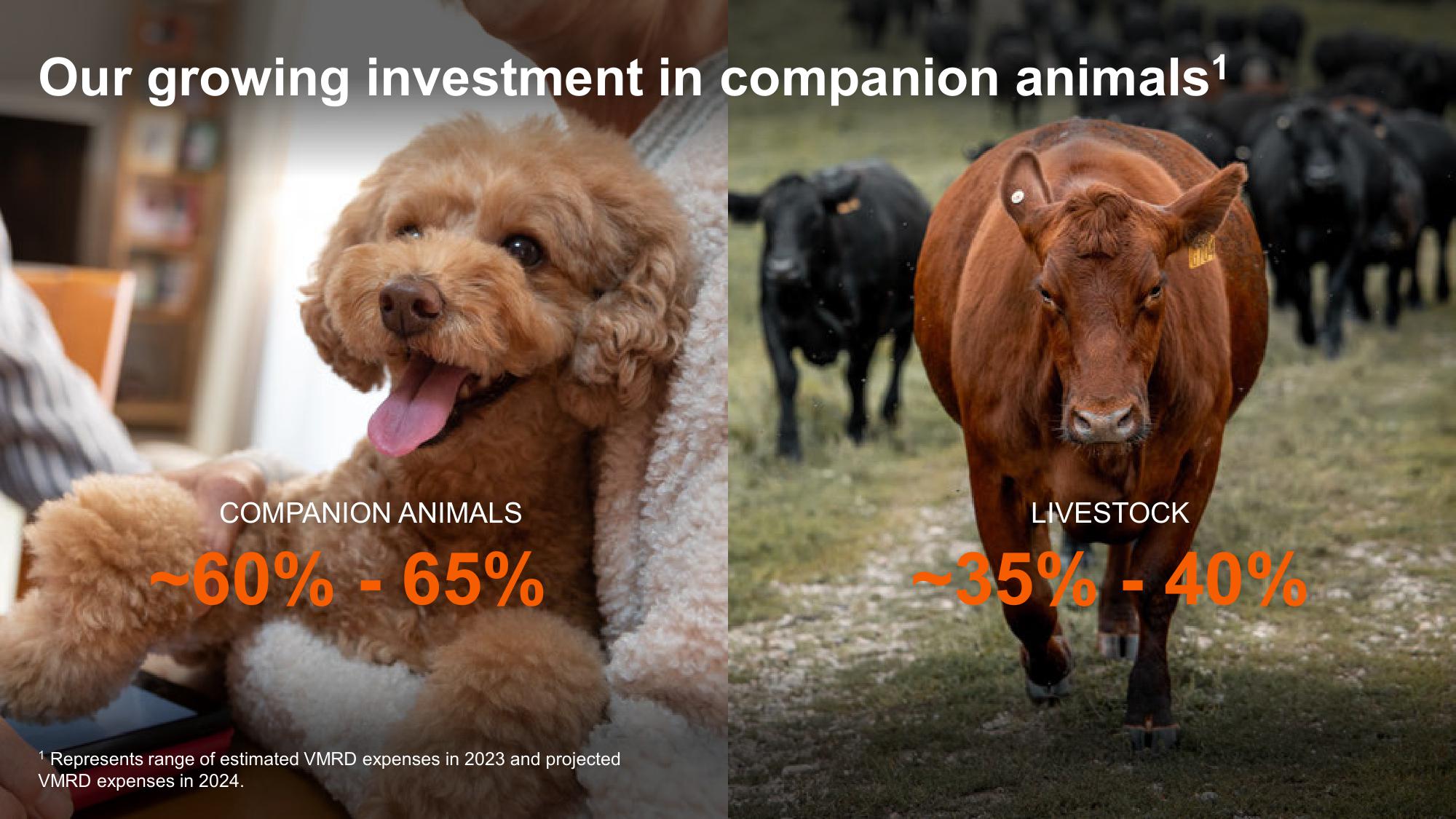 Shaping Animal Health for the Next Decade Zoetis Investor Day slide image #79