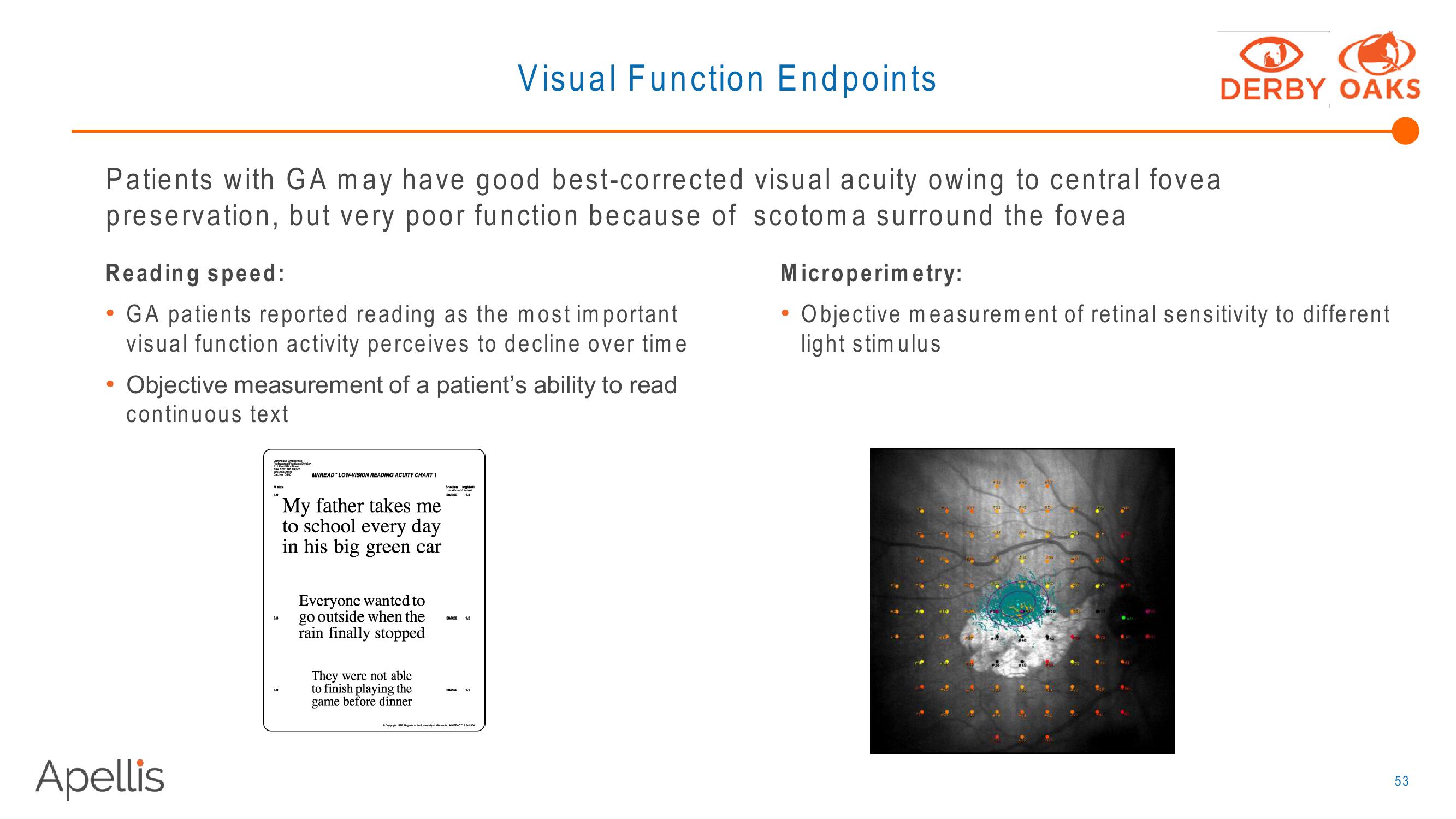 Apellis R&D Day 2018 slide image #53