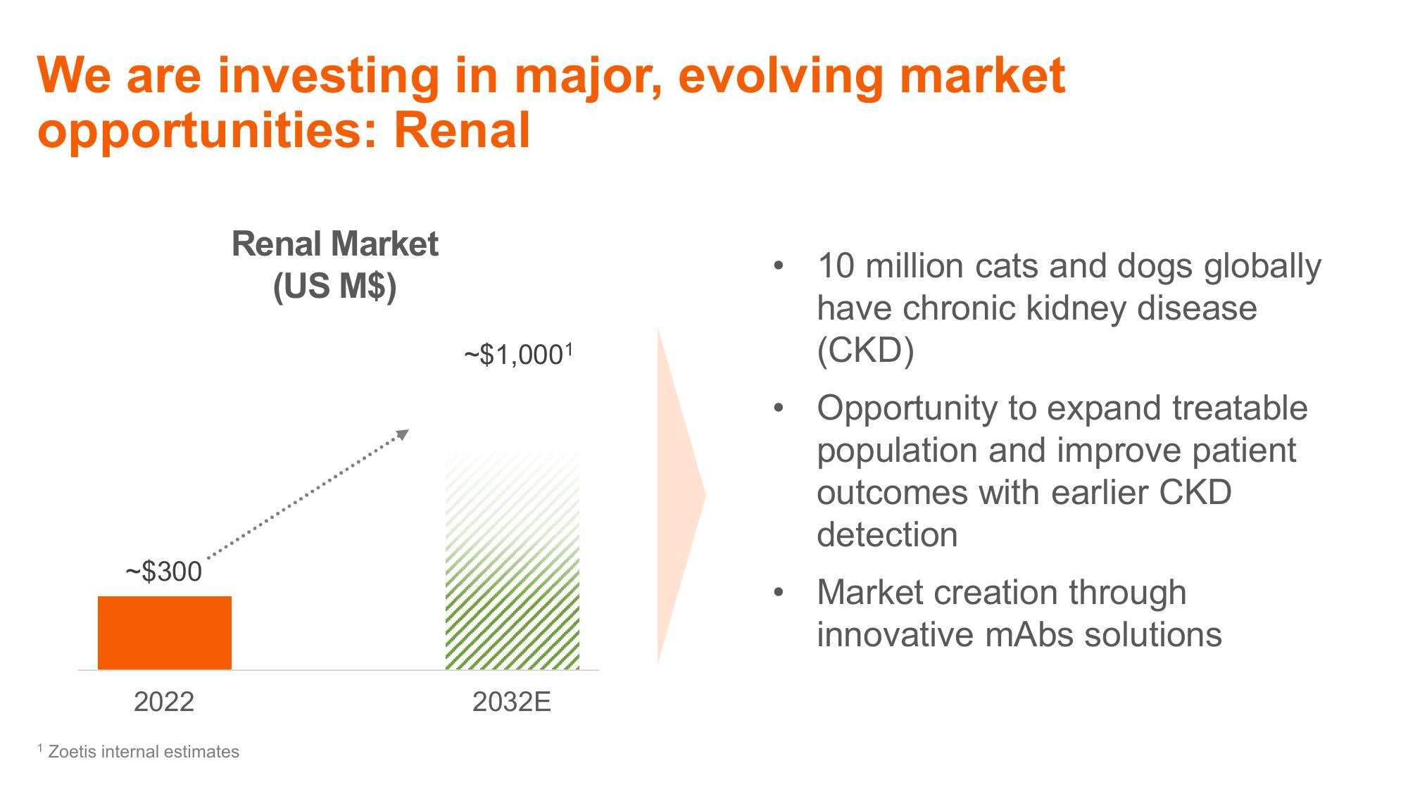 Shaping Animal Health for the Next Decade Zoetis Investor Day slide image #39