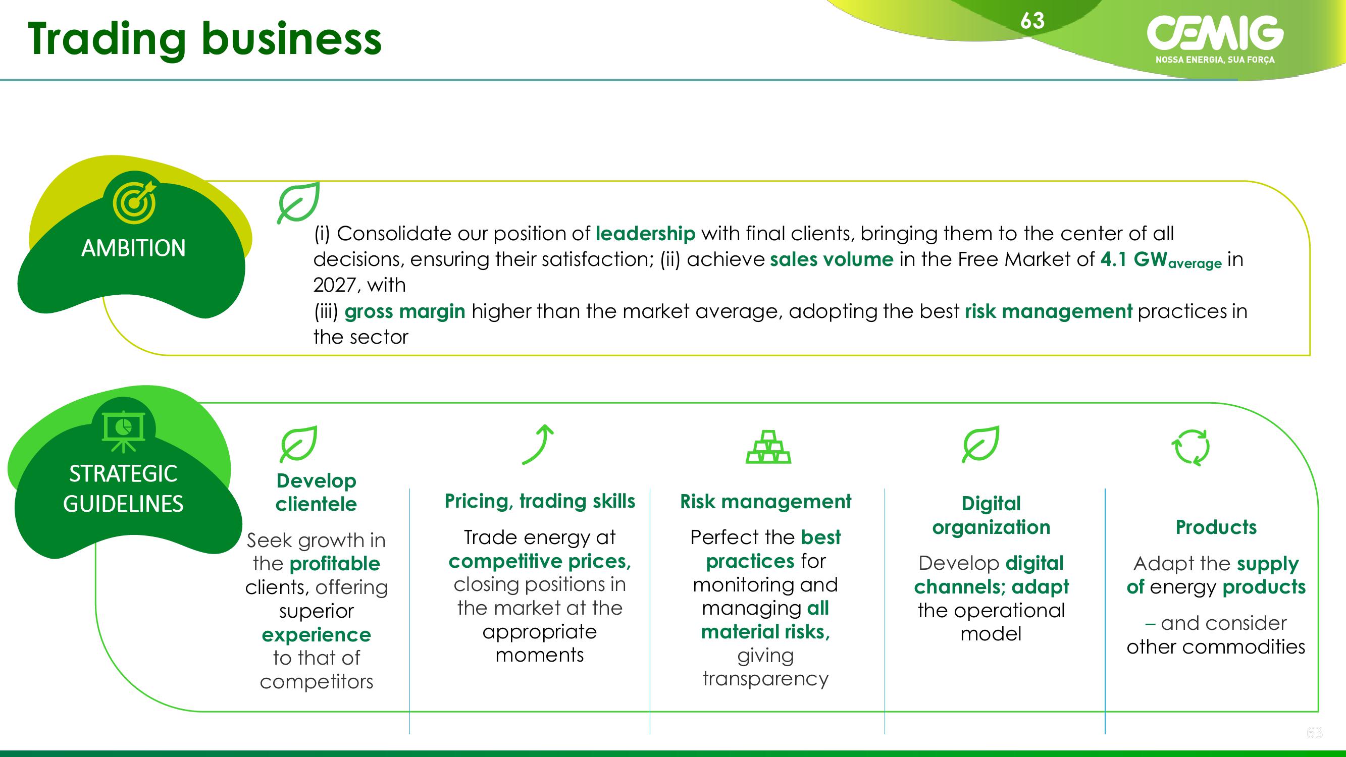 CEMIG Company Presentation slide image #63