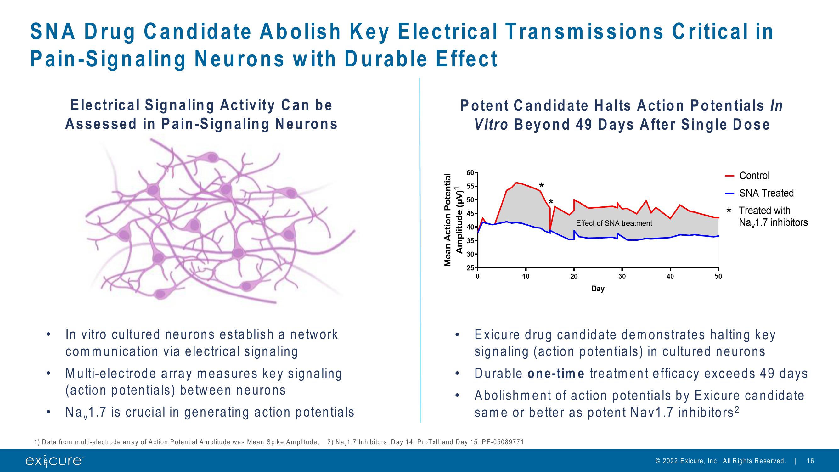 Pursuing Next Generation Nucleic Acid Therapies slide image #16