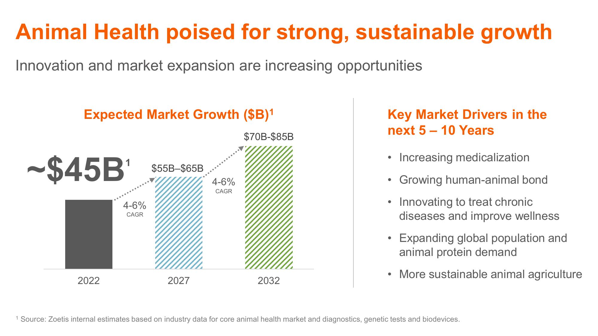 Shaping Animal Health for the Next Decade Zoetis Investor Day slide image #21