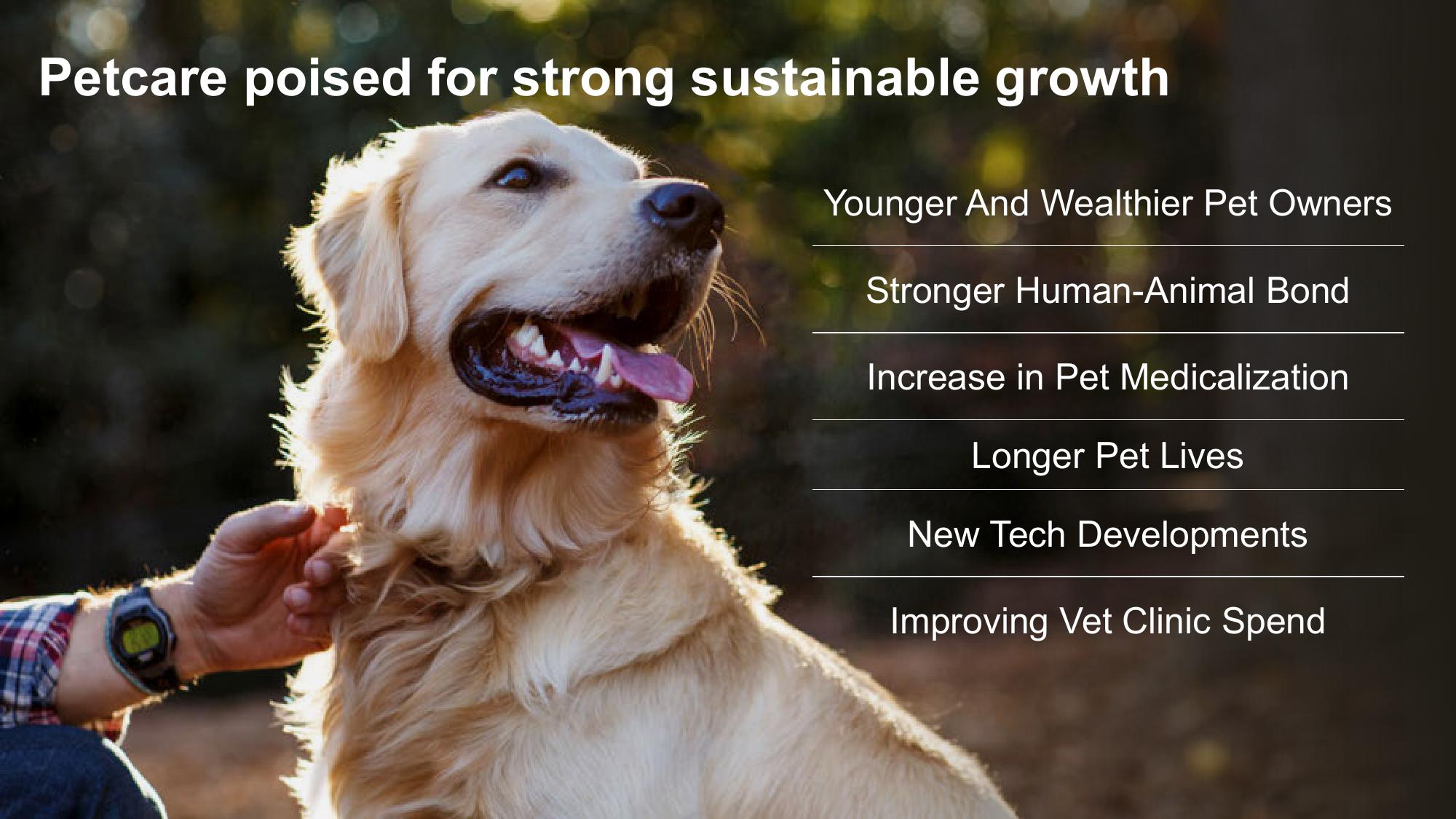 Shaping Animal Health for the Next Decade Zoetis Investor Day slide image #30