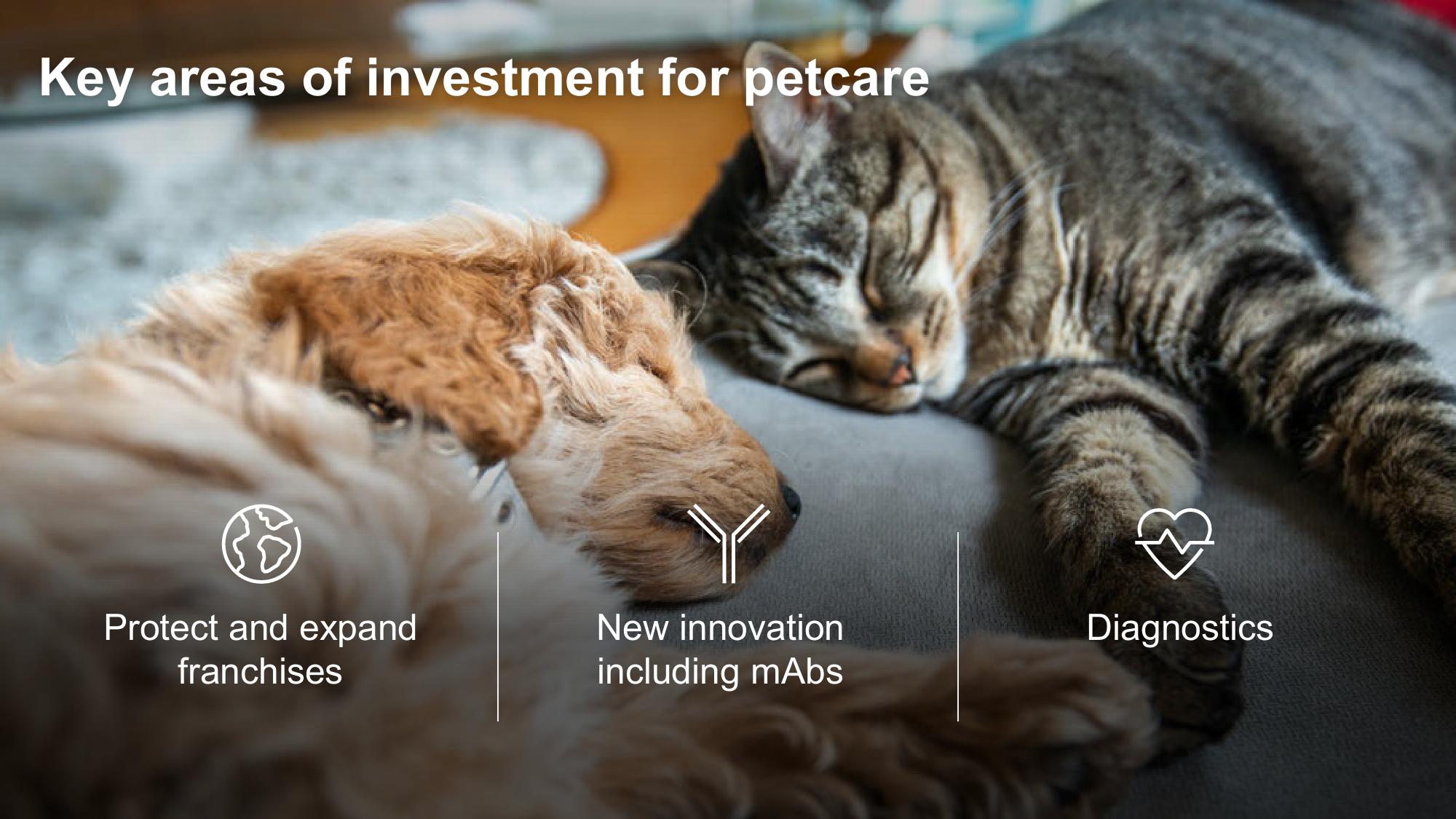 Shaping Animal Health for the Next Decade Zoetis Investor Day slide image #80