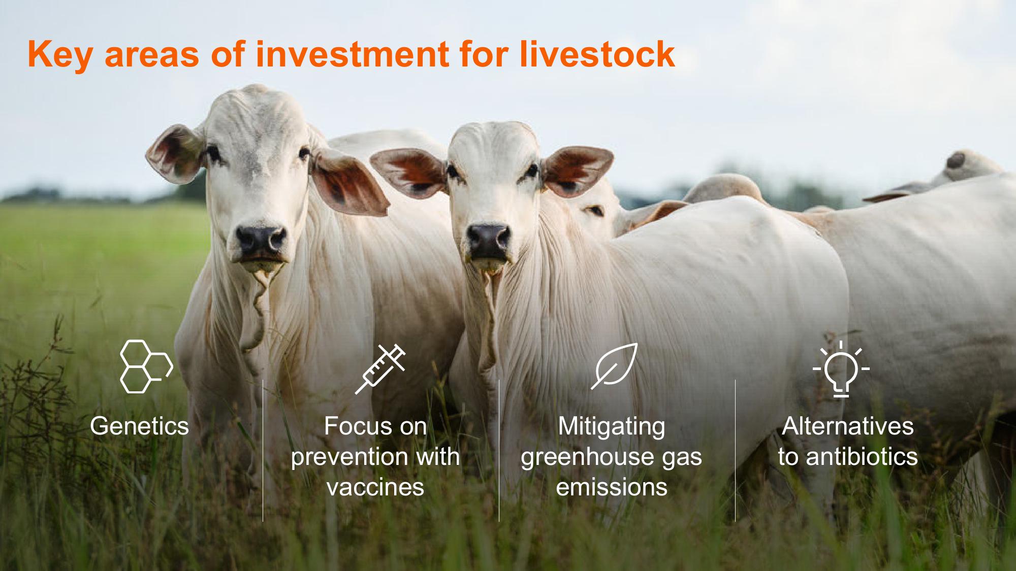 Shaping Animal Health for the Next Decade Zoetis Investor Day slide image #81