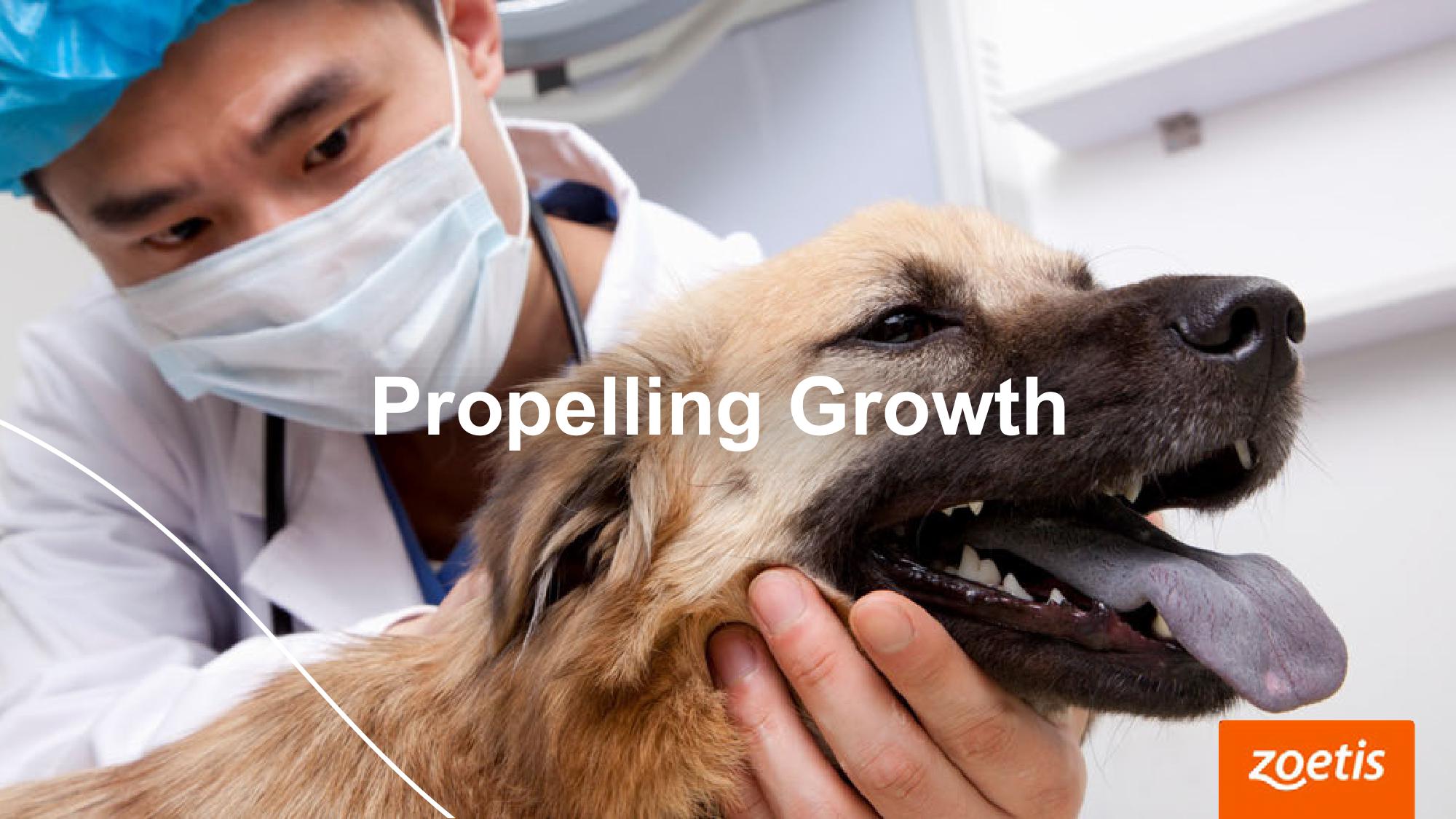 Shaping Animal Health for the Next Decade Zoetis Investor Day slide image #75