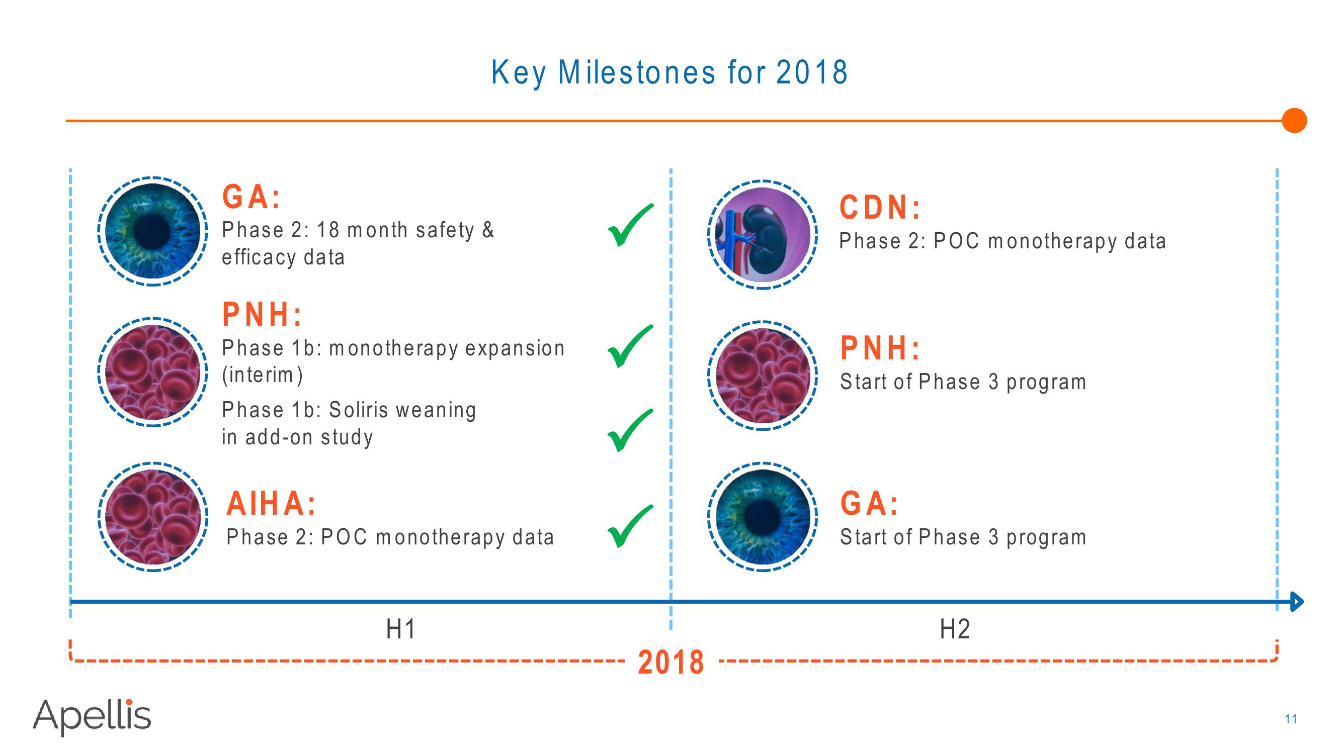 Apellis R&D Day 2018 slide image #11