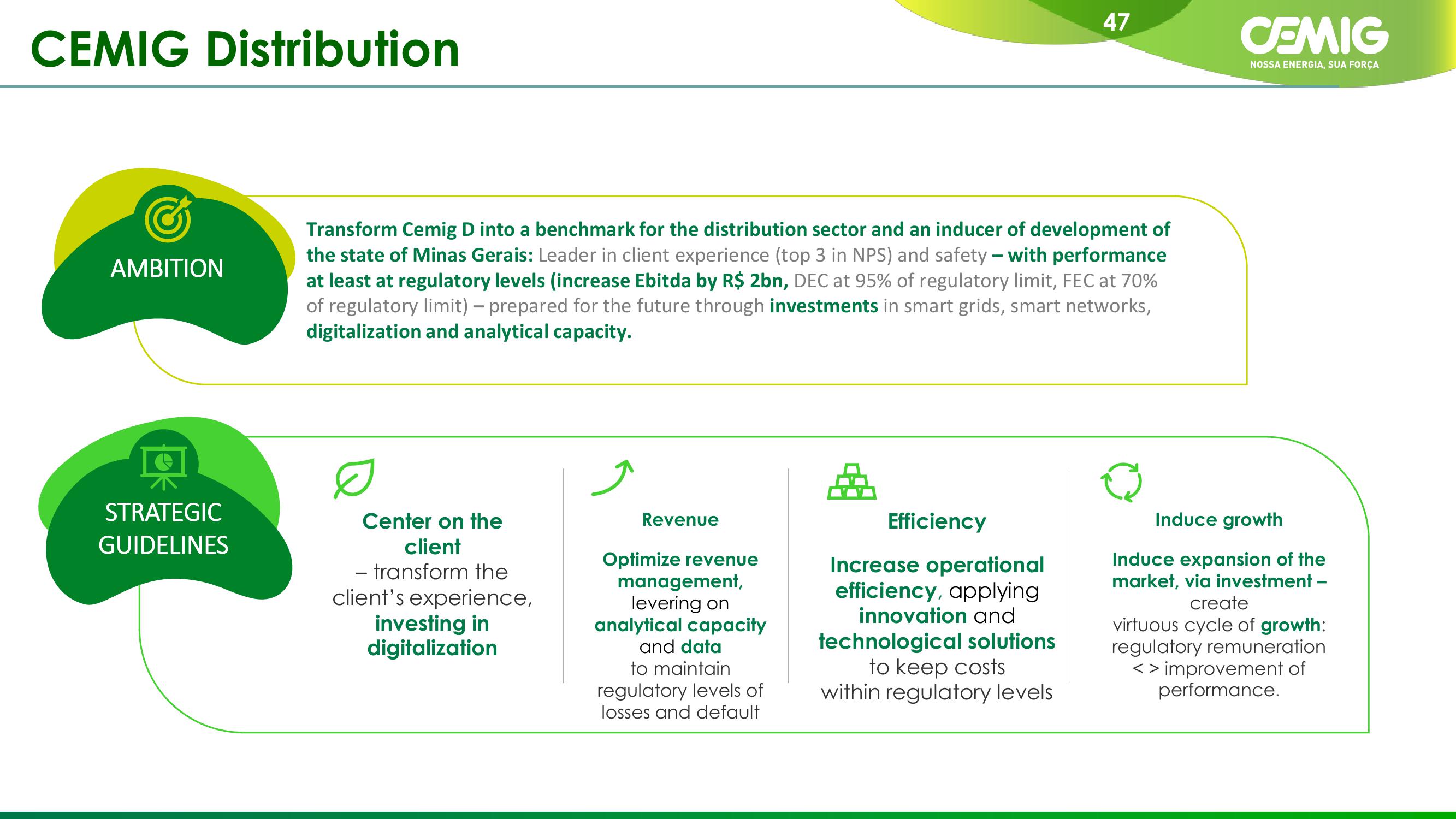 CEMIG Company Presentation slide image #47