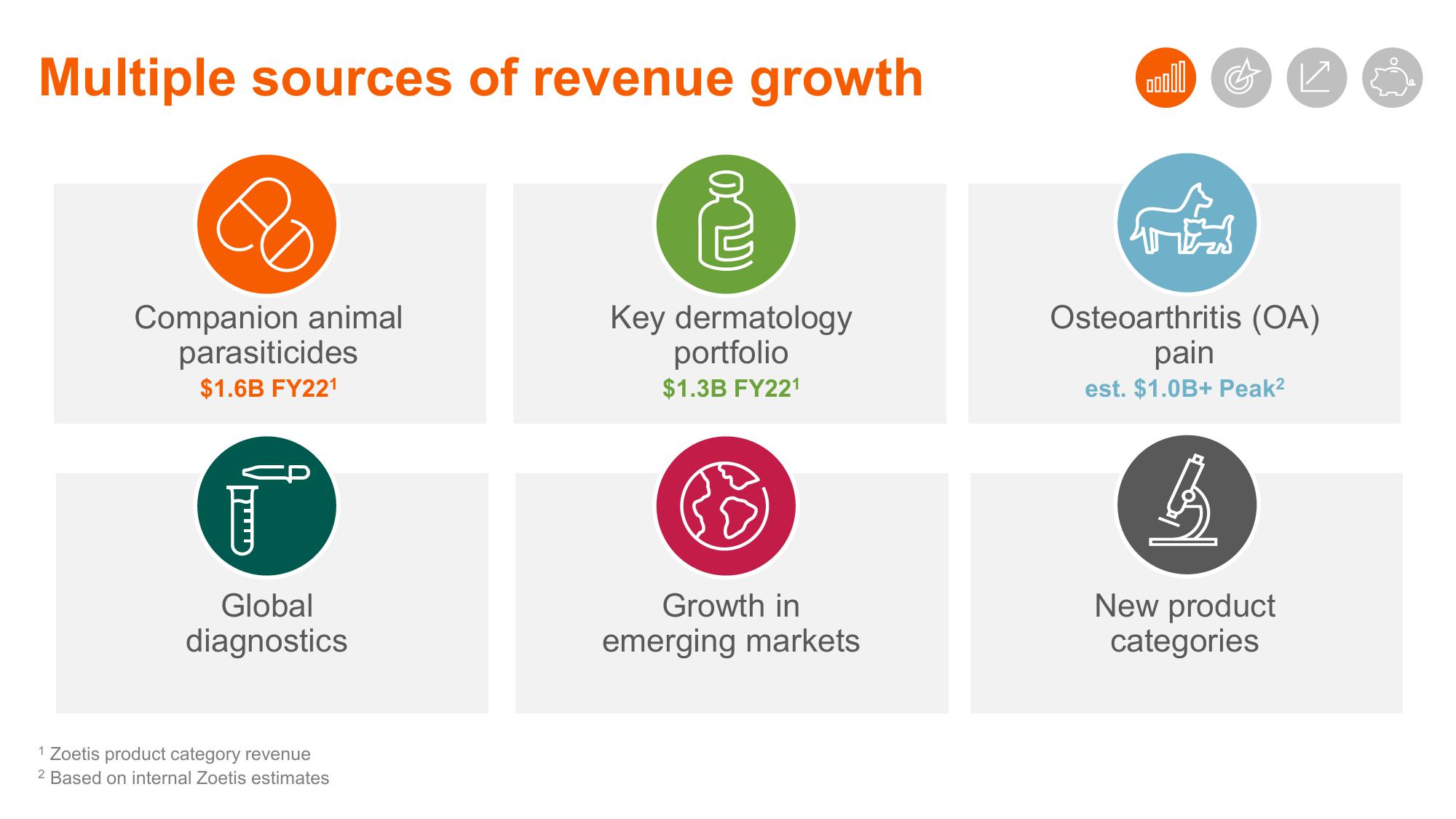 Shaping Animal Health for the Next Decade Zoetis Investor Day slide image #91