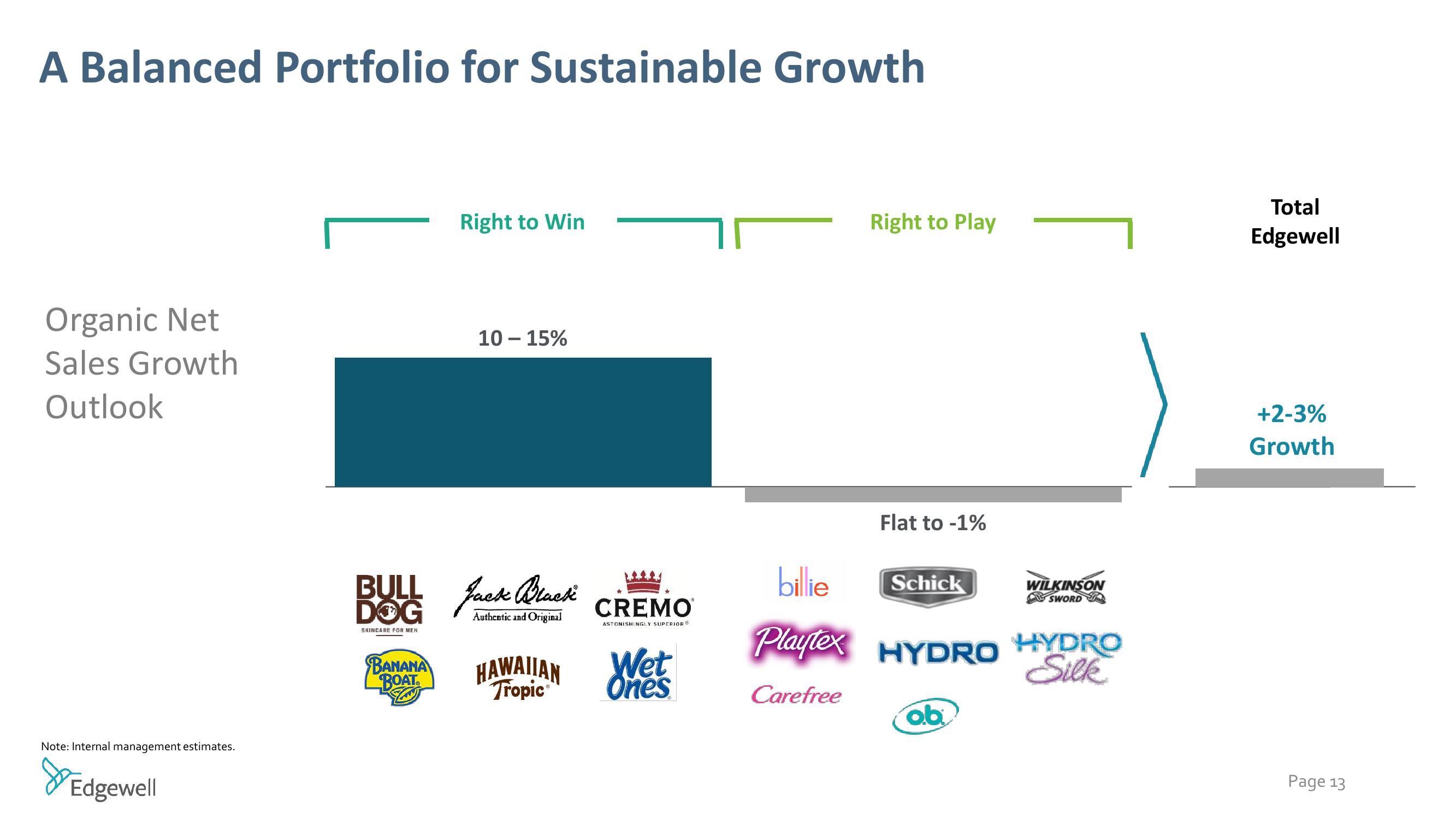 Raymond James Institutional Investors Conference slide image #13