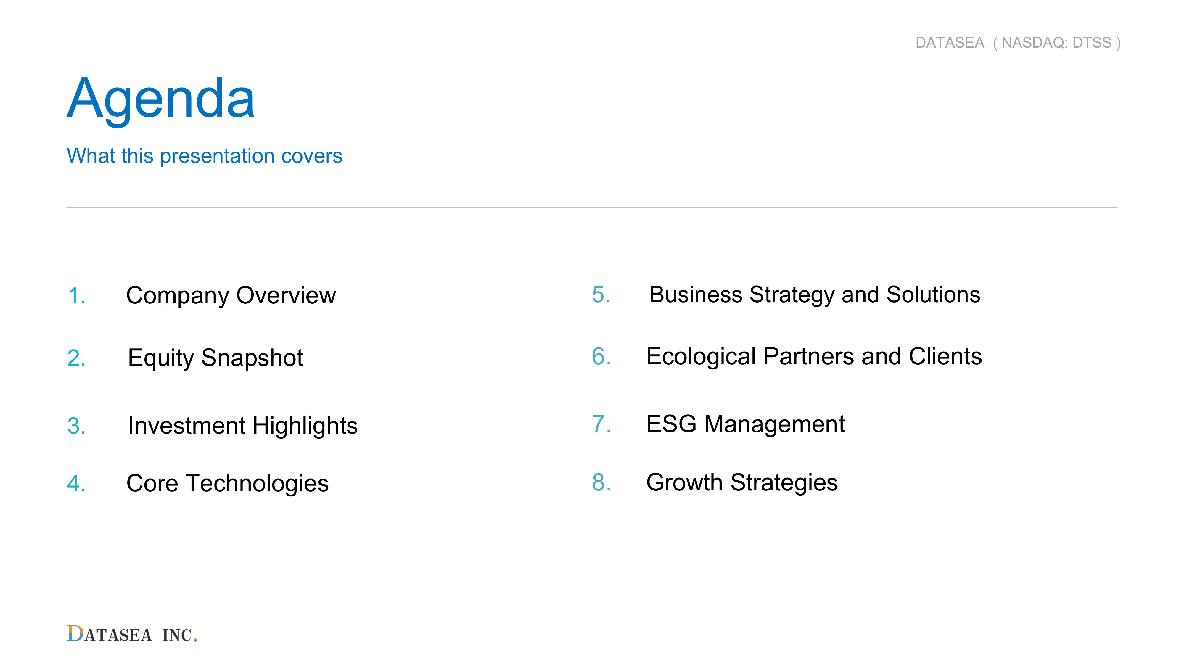 Datasea Investor Presentation slide image #3