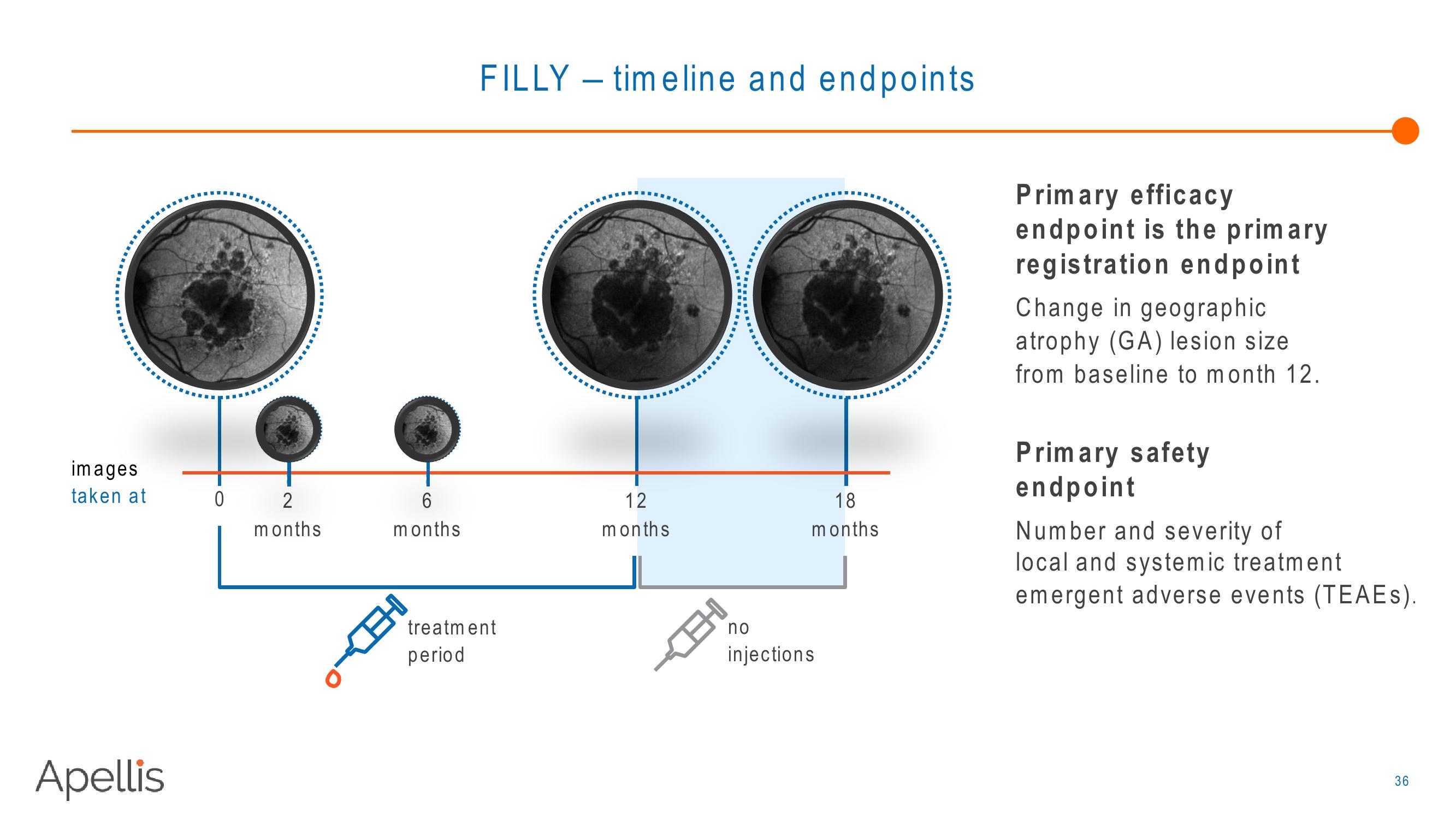 Apellis R&D Day 2018 slide image #36