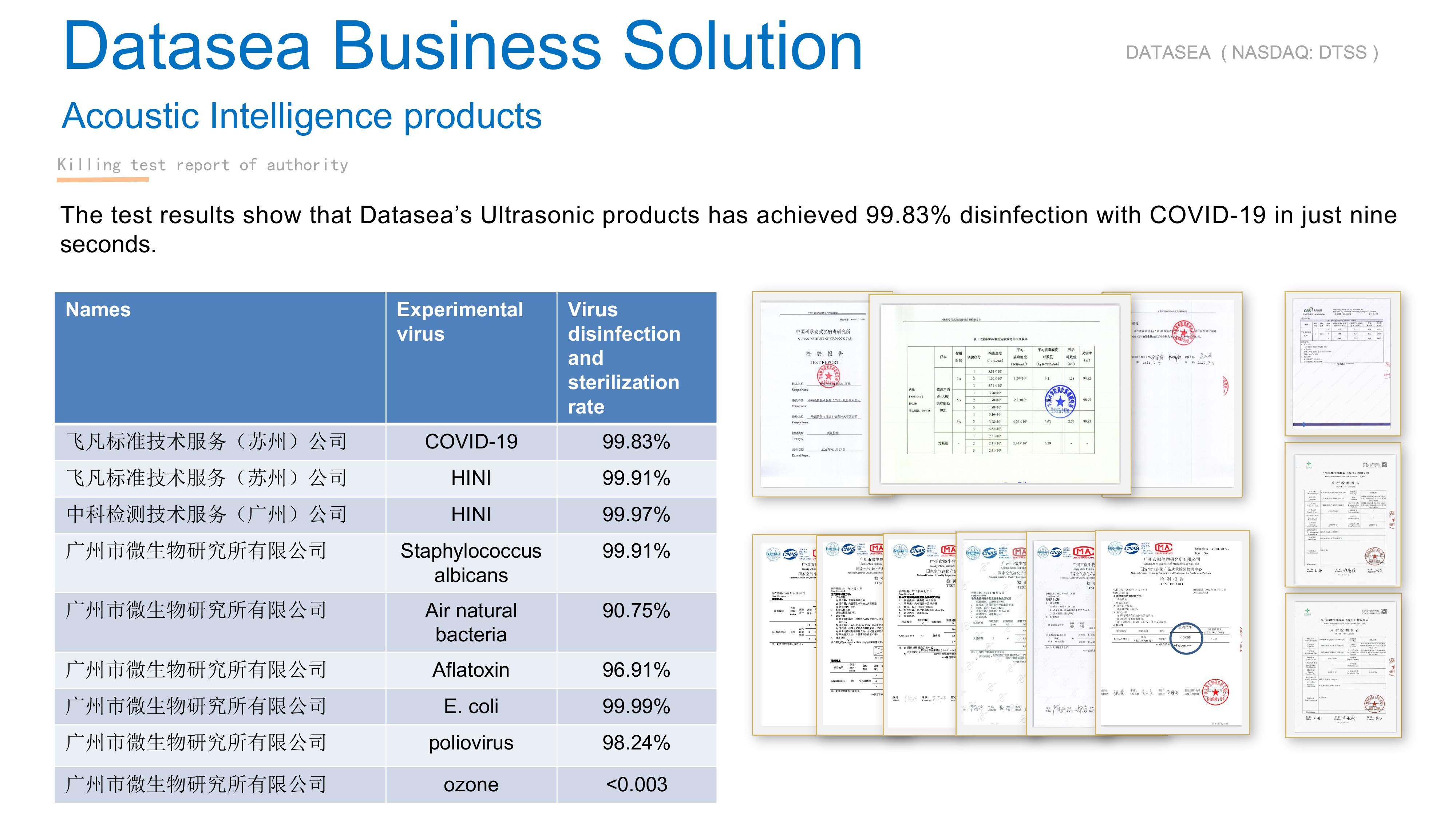 Datasea Investor Presentation slide image #22