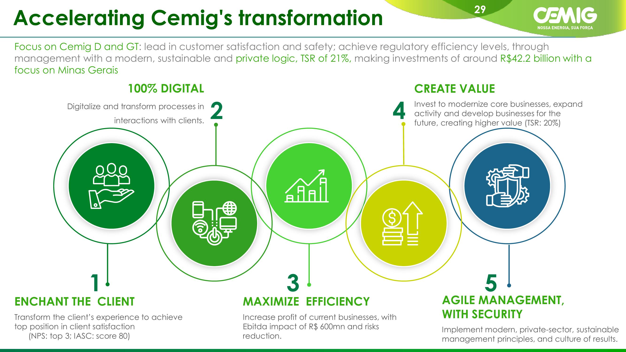 CEMIG Company Presentation slide image #29