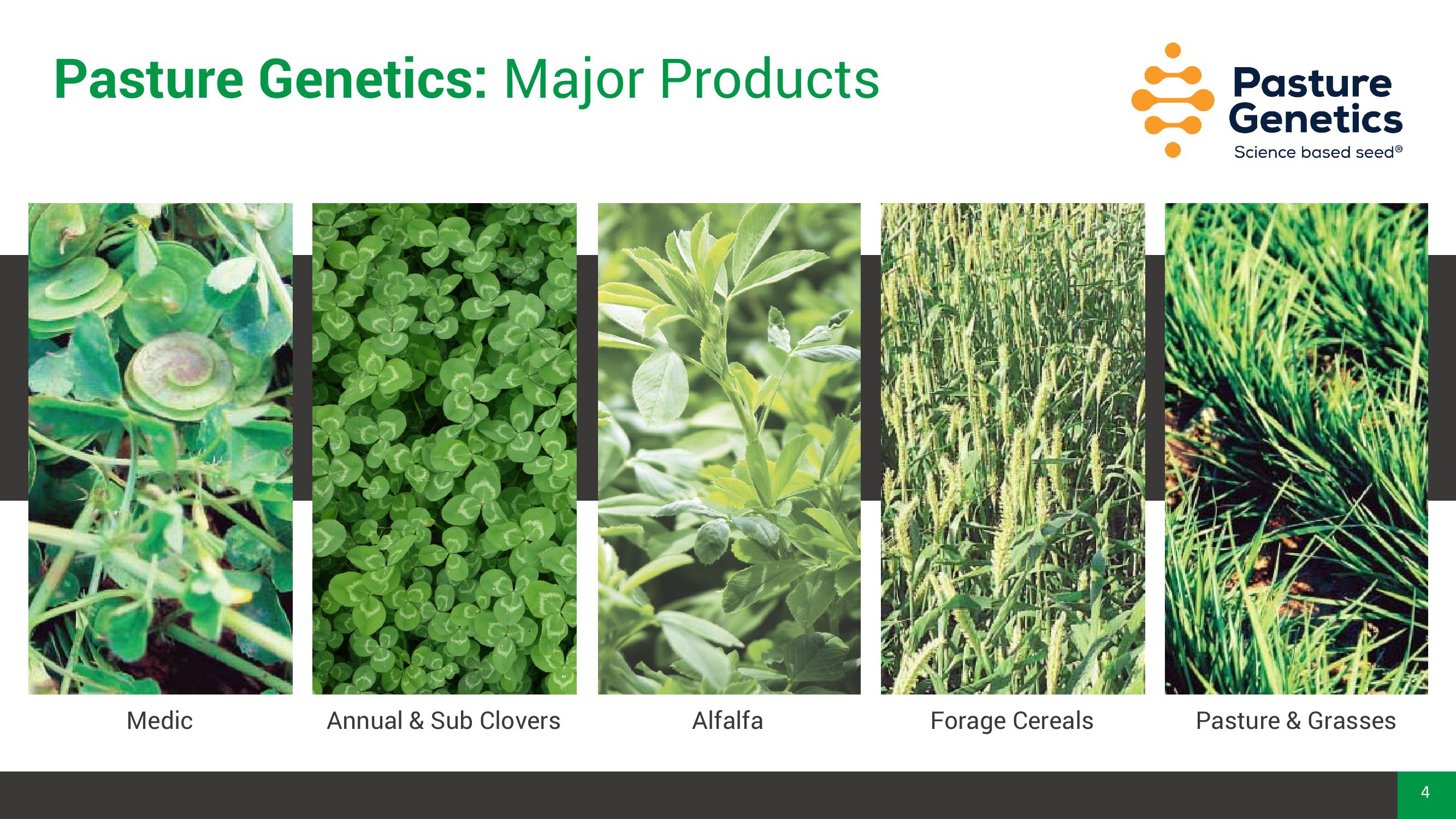 Pasture Genetics Australia Acquisition Overview slide image #4