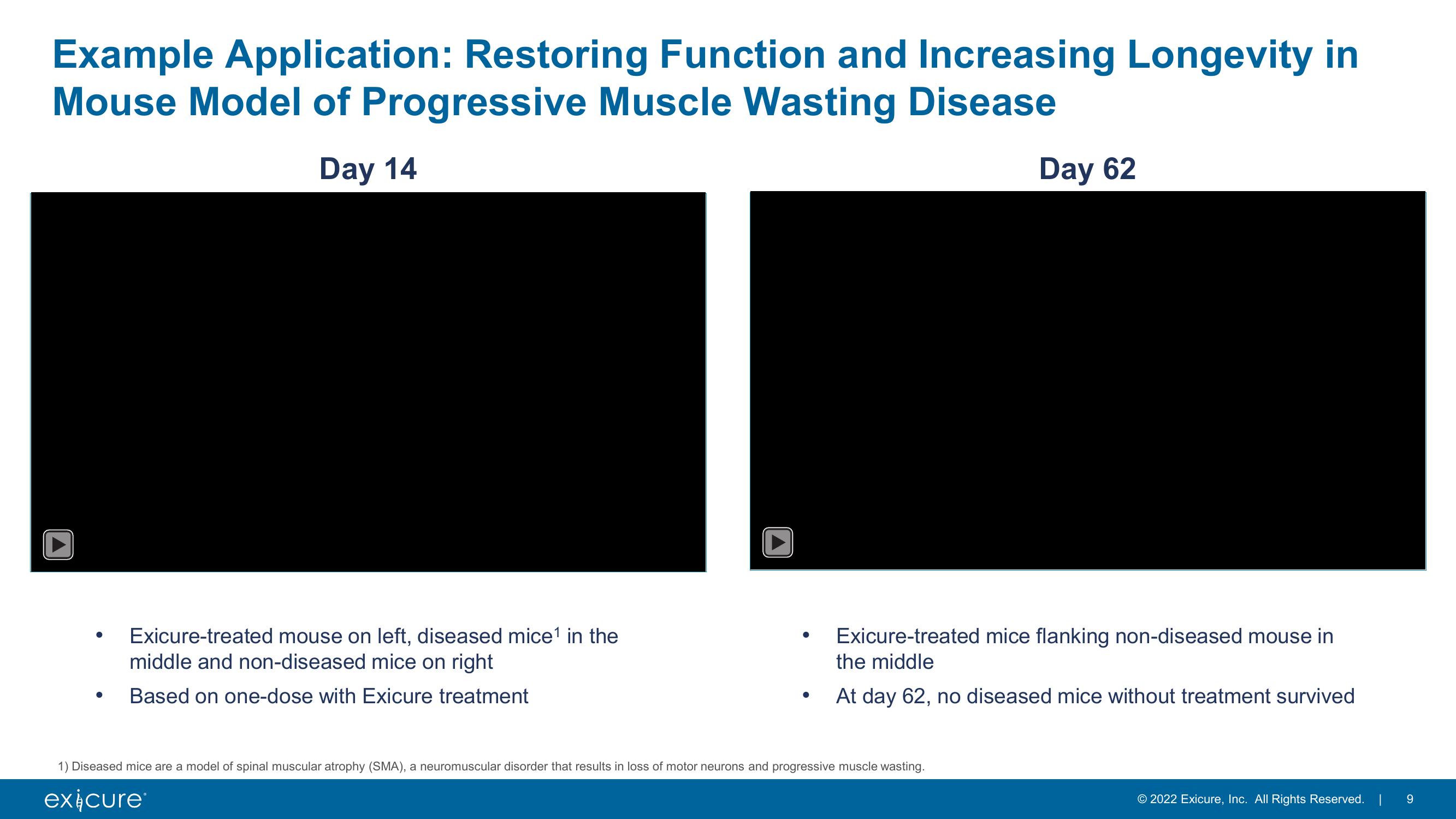 Pursuing Next Generation Nucleic Acid Therapies slide image #9