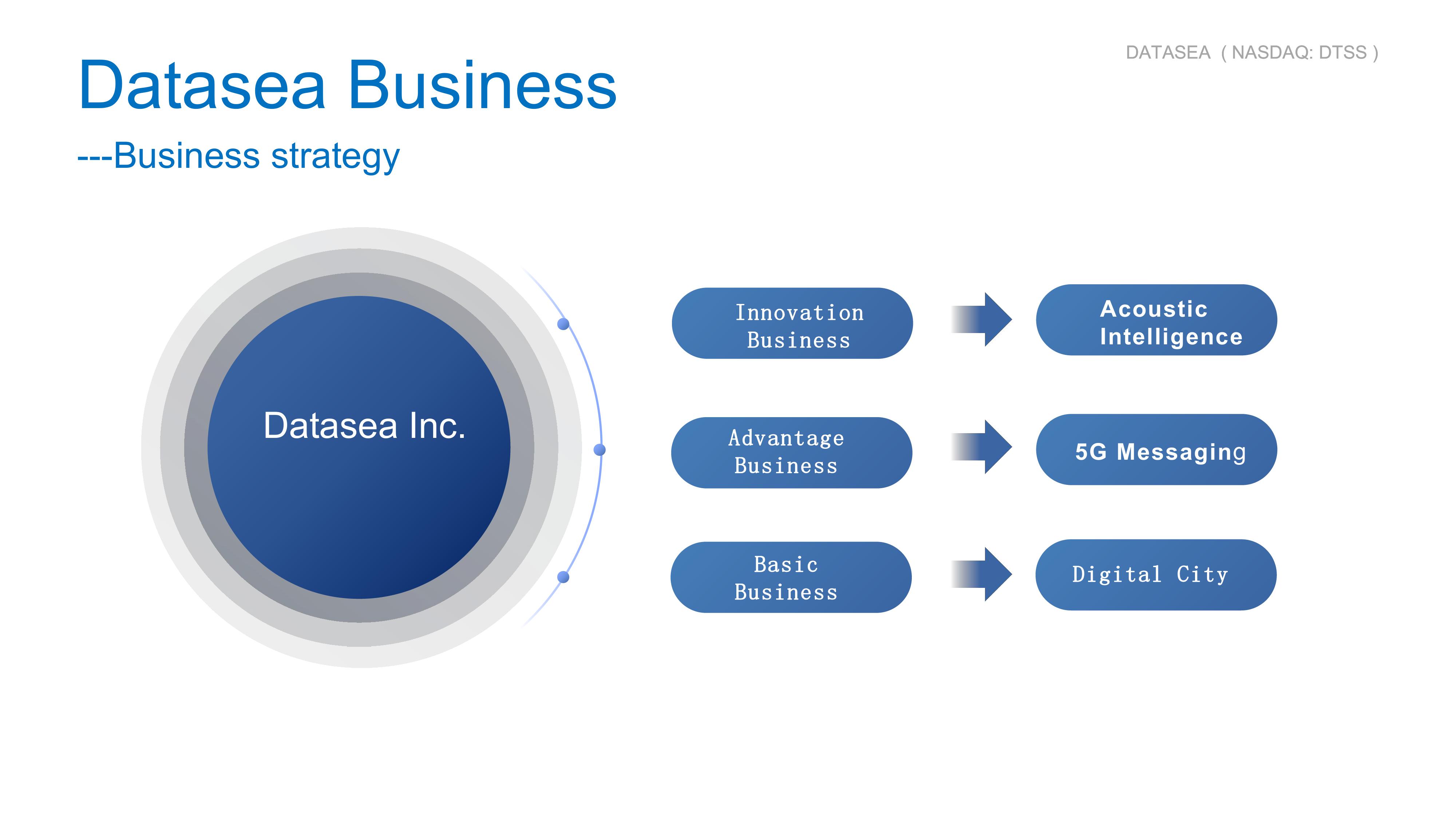 Datasea Investor Presentation slide image #13