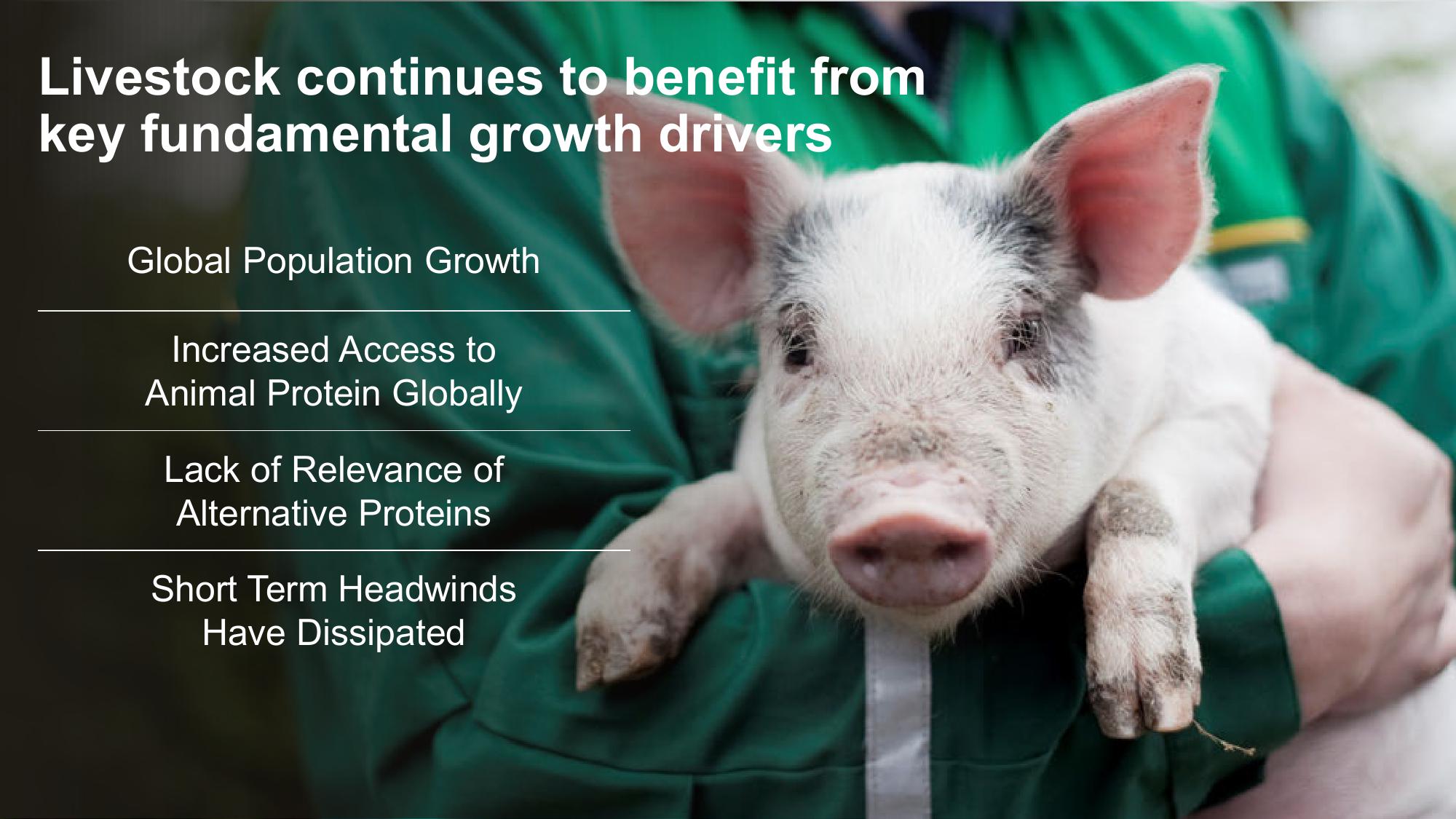 Shaping Animal Health for the Next Decade Zoetis Investor Day slide image #31