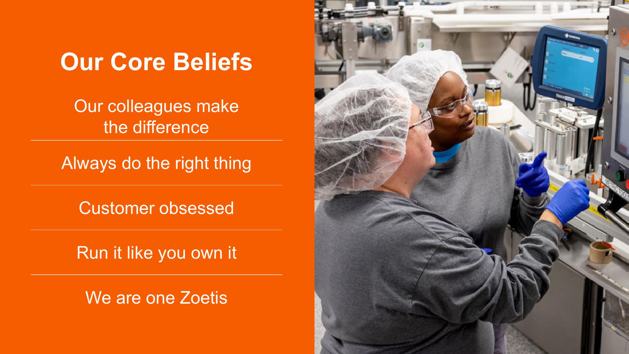 Shaping Animal Health for the Next Decade Zoetis Investor Day slide image #12