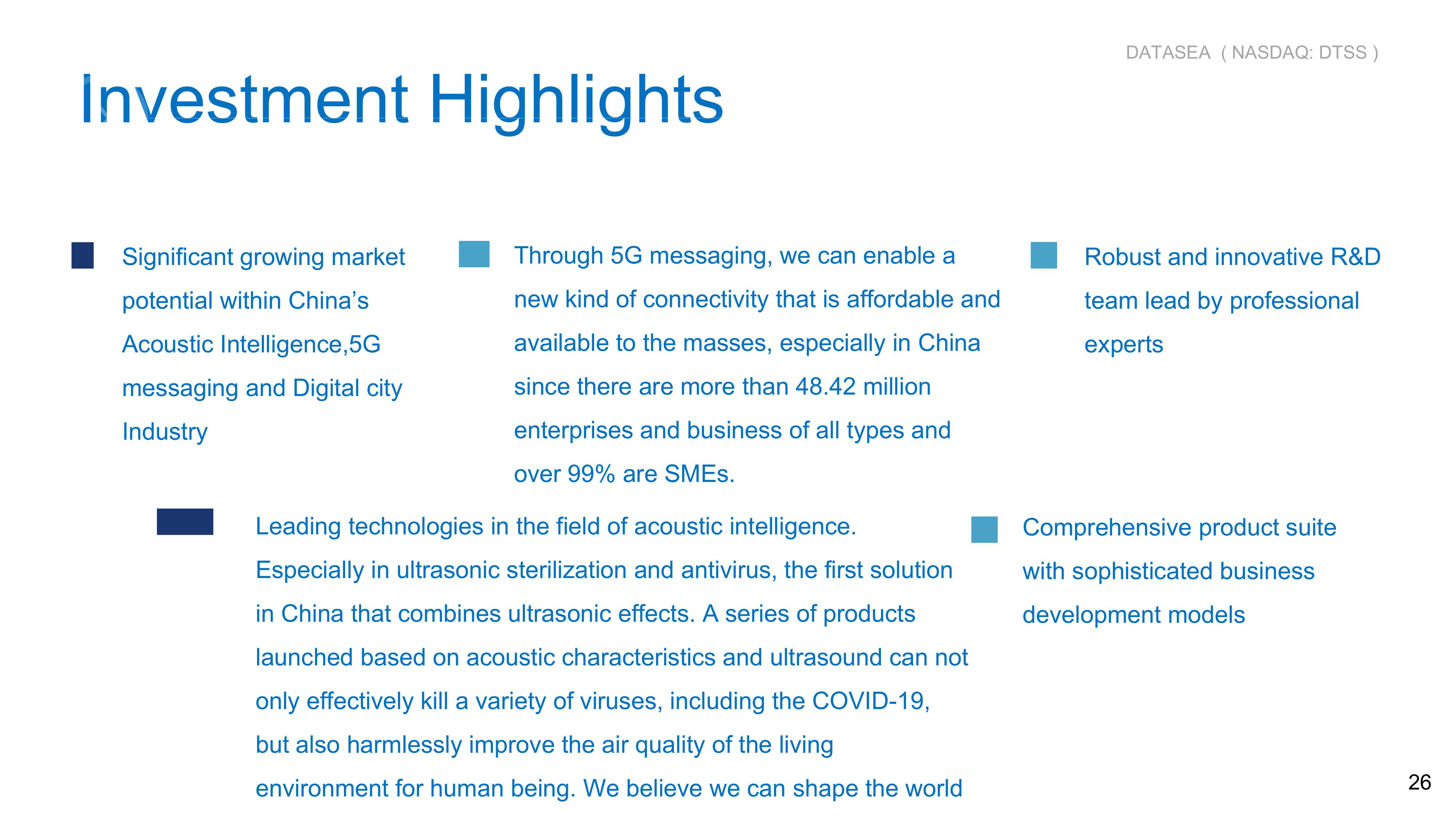 Datasea Investor Presentation slide image #8