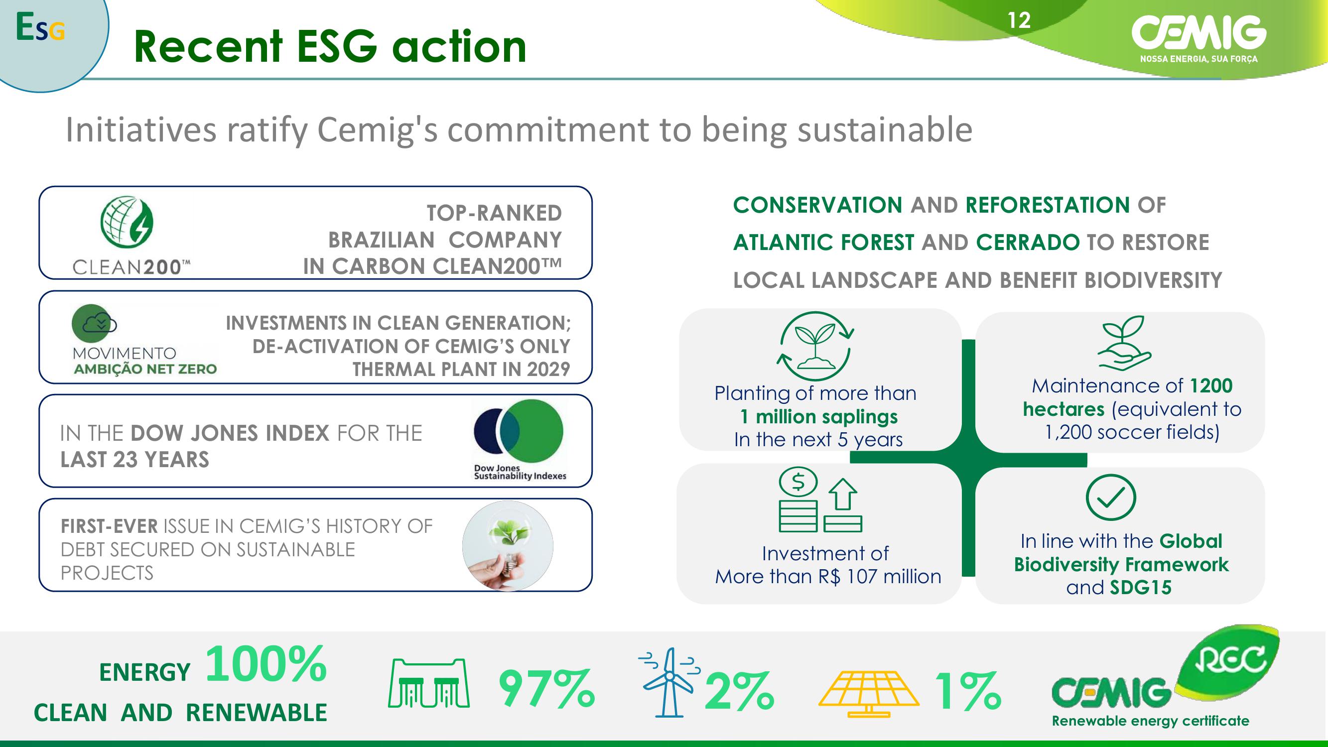 CEMIG Overview slide image #12