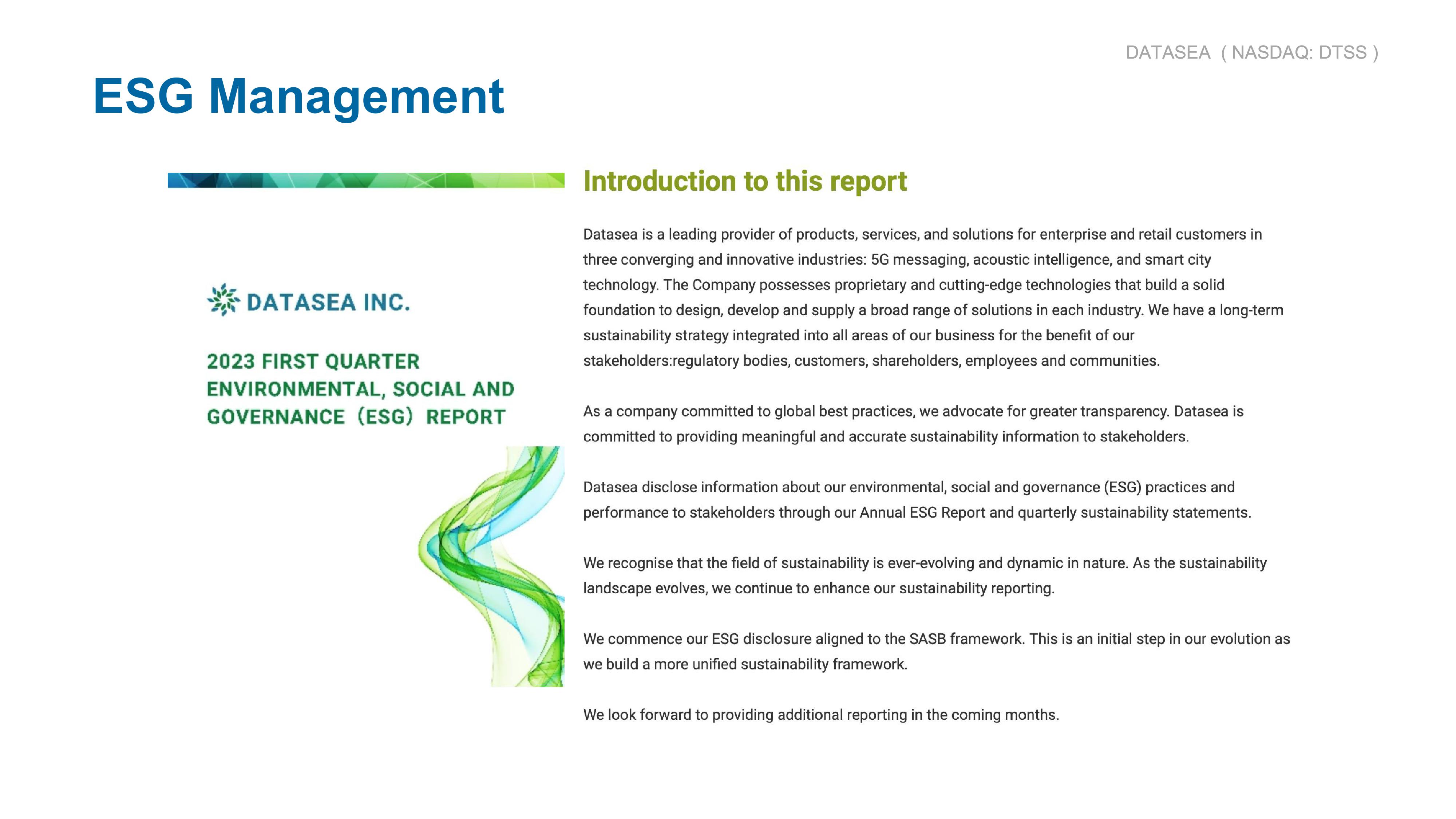 Datasea Investor Presentation slide image #37