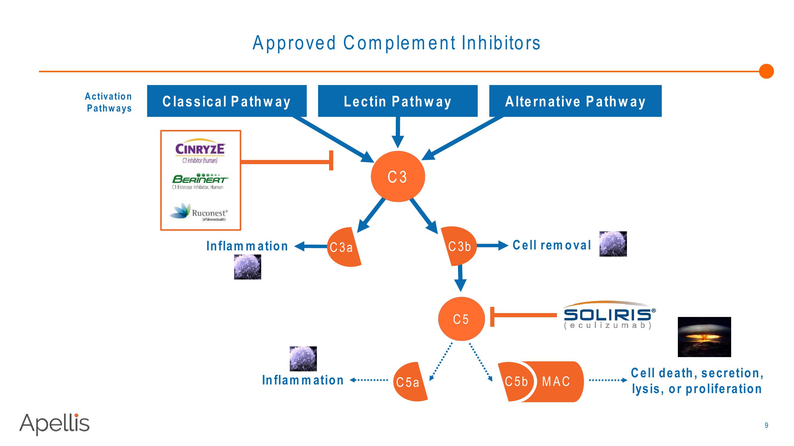 Apellis R&D Day 2018 slide image #9