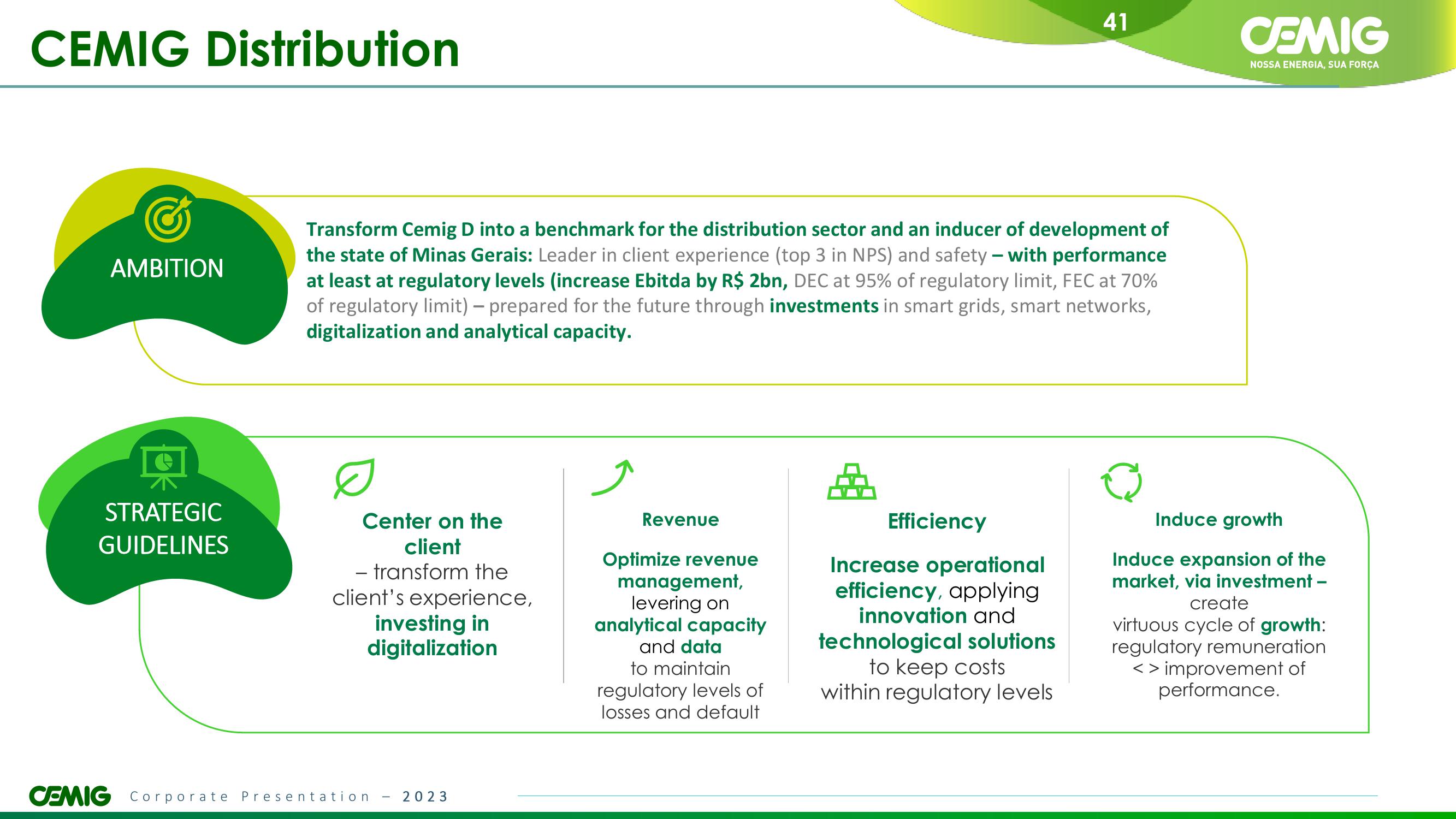 CEMIG Overview slide image #41