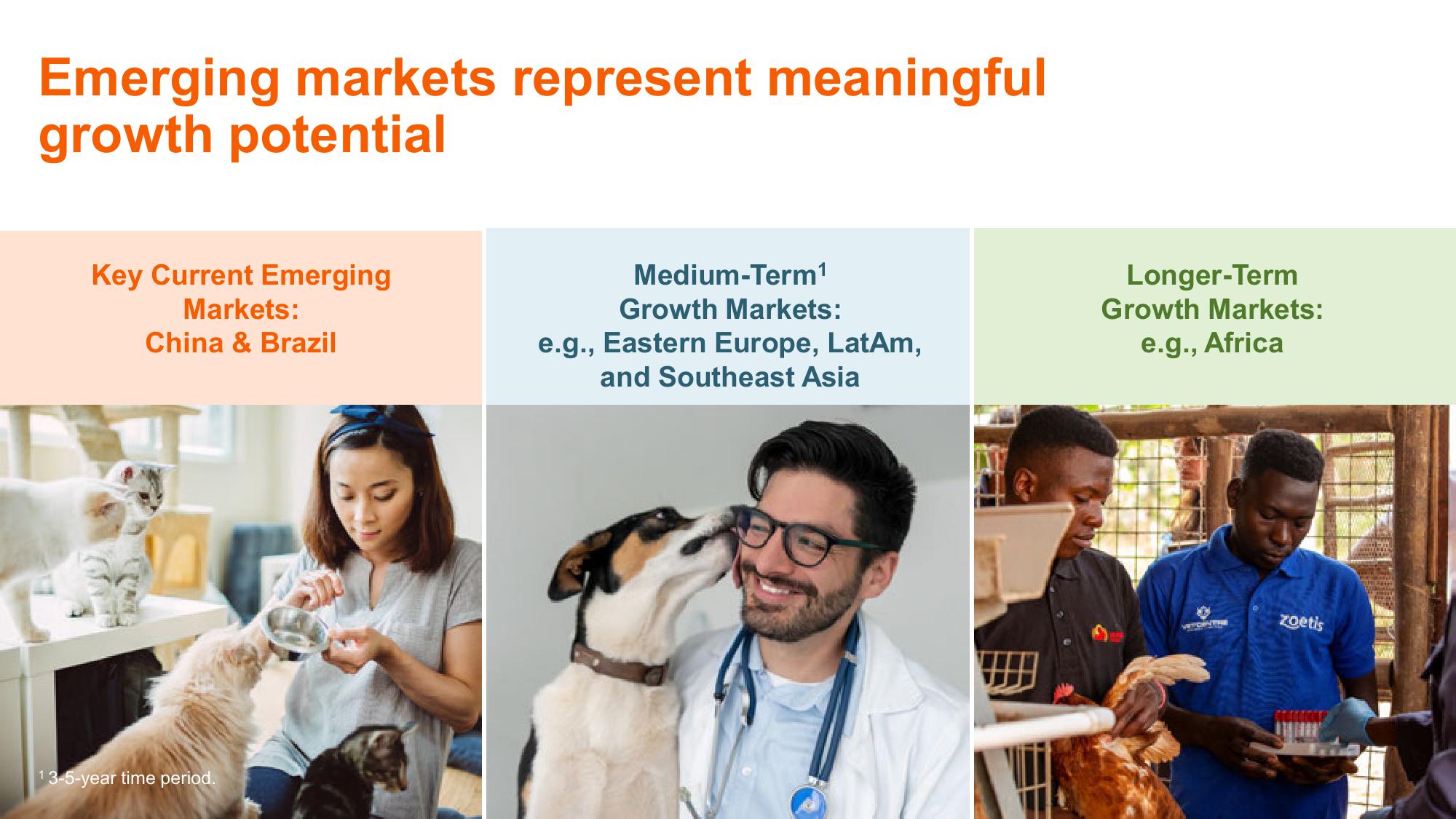 Shaping Animal Health for the Next Decade Zoetis Investor Day slide image #43