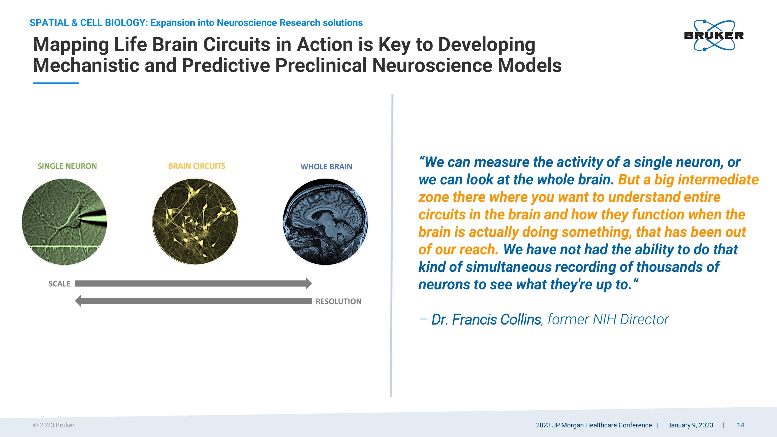 Bruker Corporation 2023 JP Morgan Healthcare Conference slide image #14