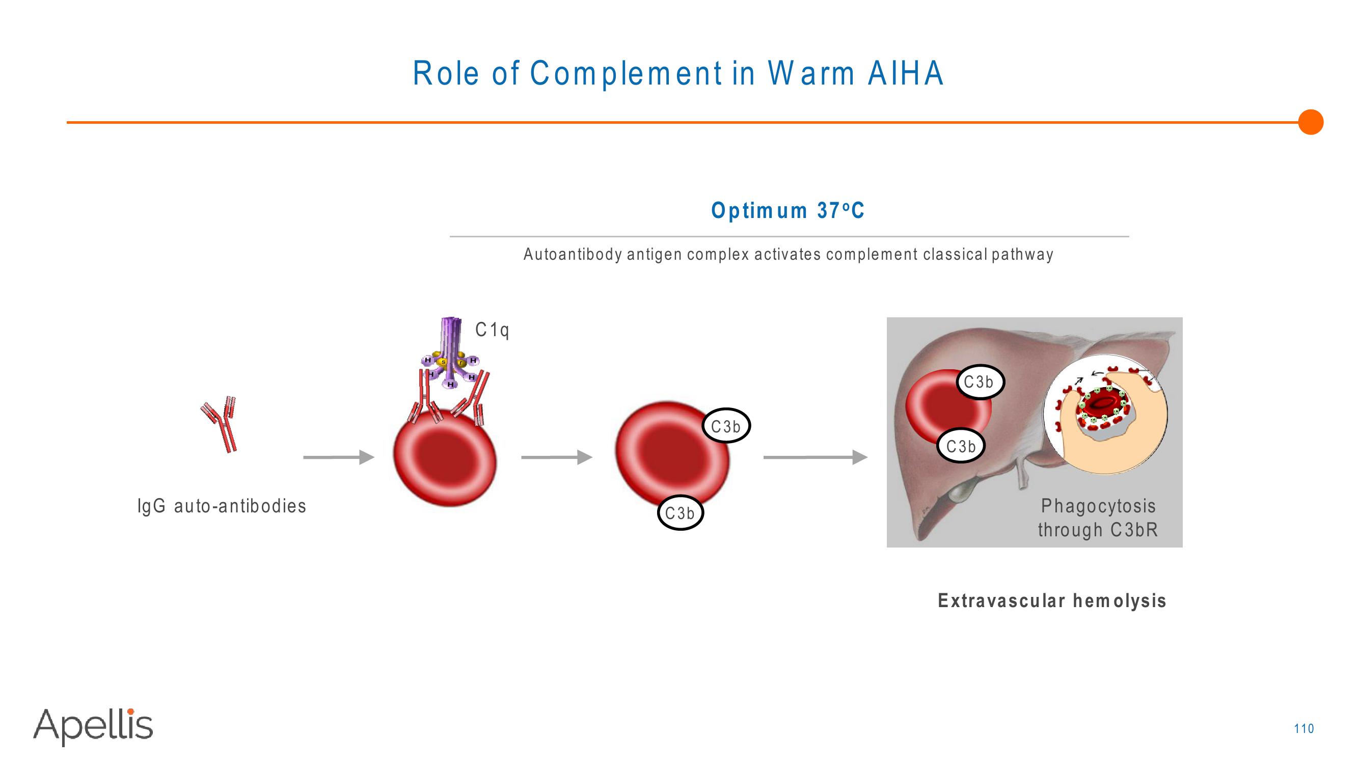 Apellis R&D Day 2018 slide image #110