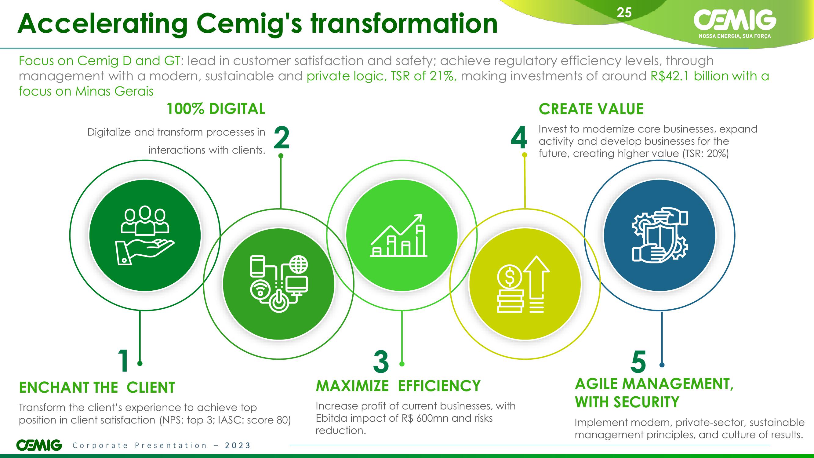 CEMIG Overview slide image #25